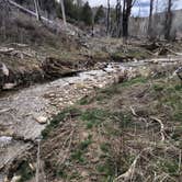 Review photo of Skyline Drive by Travis A., March 31, 2026
