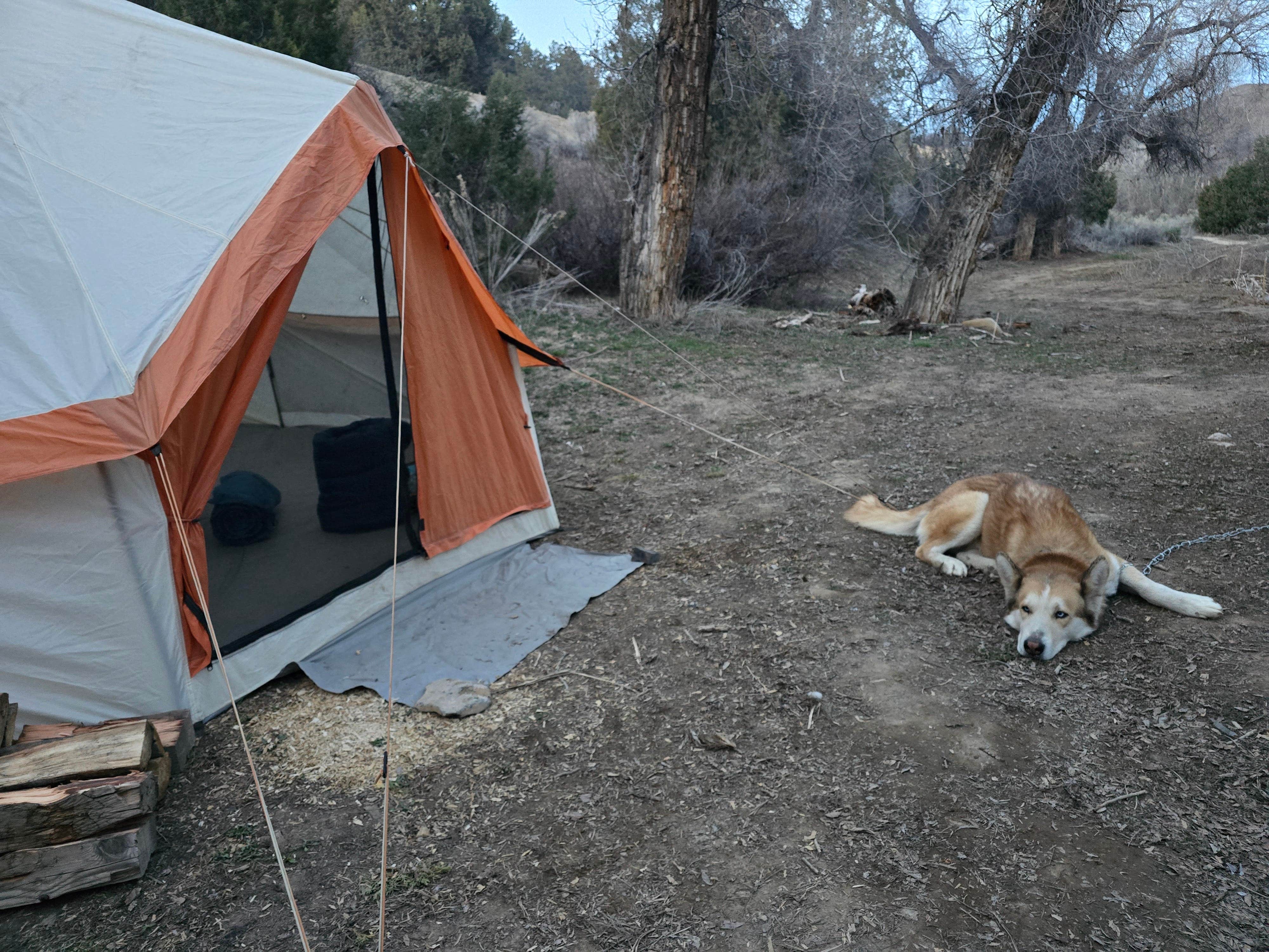 Tyrinn B.'s photo of a dispersed camping area at Skyline Drive near Duchesne, UT