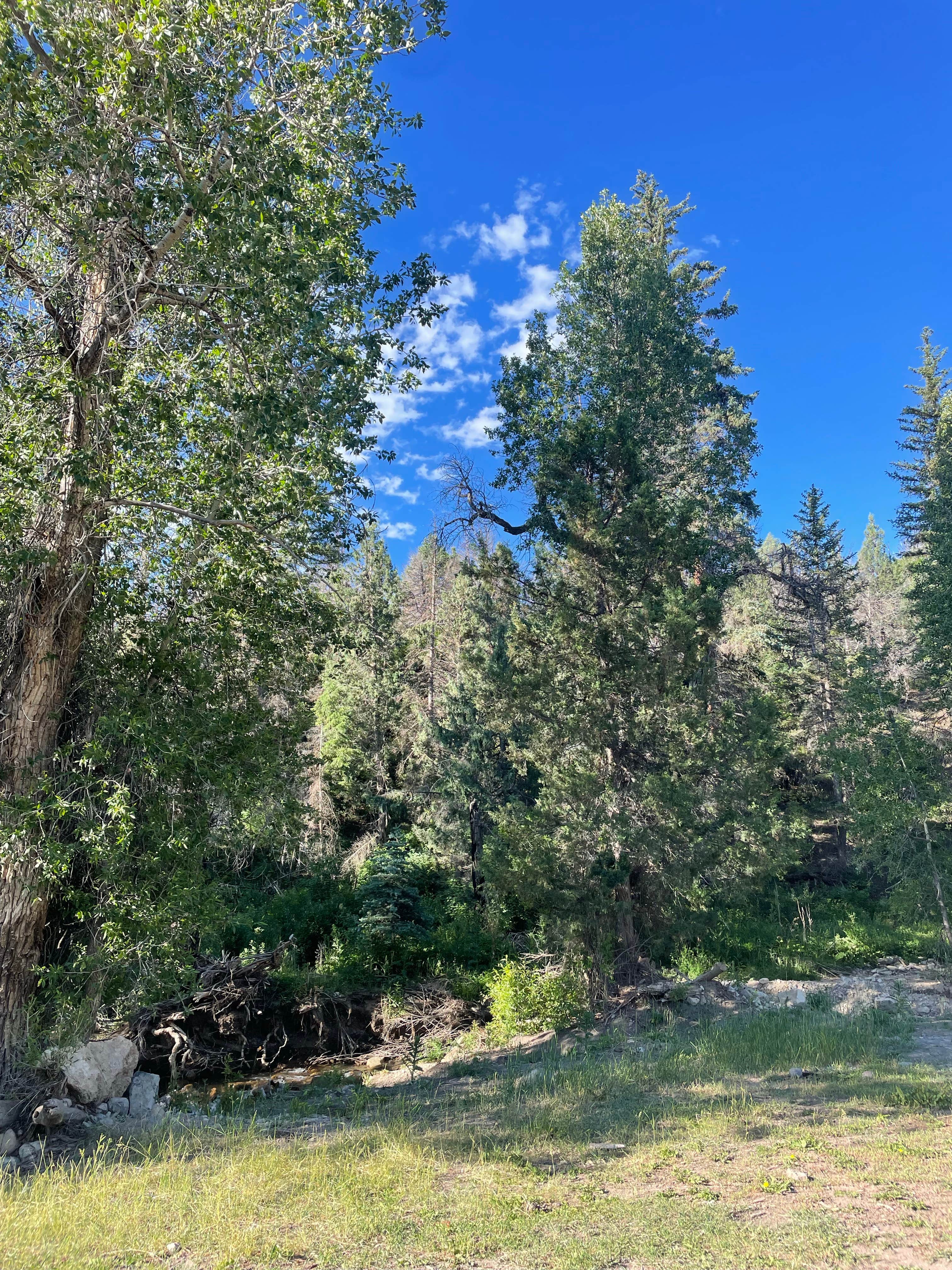 Camper-submitted photo at Skyline Drive near Duchesne, UT