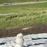 Review photo of Skyline Drive by Ashley B., June 13, 2026