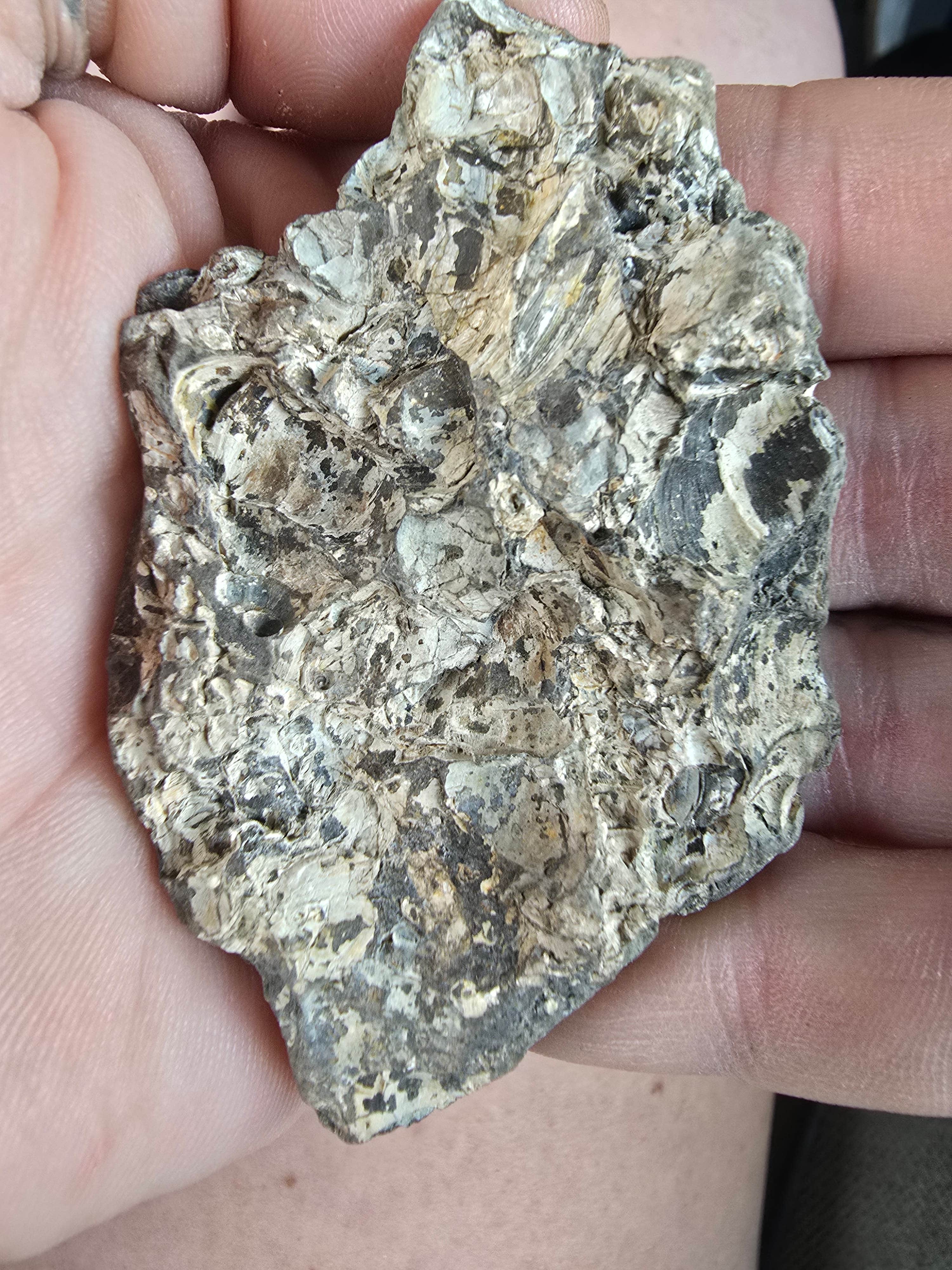 Camper-submitted photo at Skyline Drive near Duchesne, UT