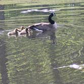 Review photo of Skyline Ranch Resort by Lucinda H., April 30, 2026