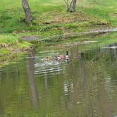 Review photo of Skyline Ranch Resort by Lucinda H., April 30, 2026