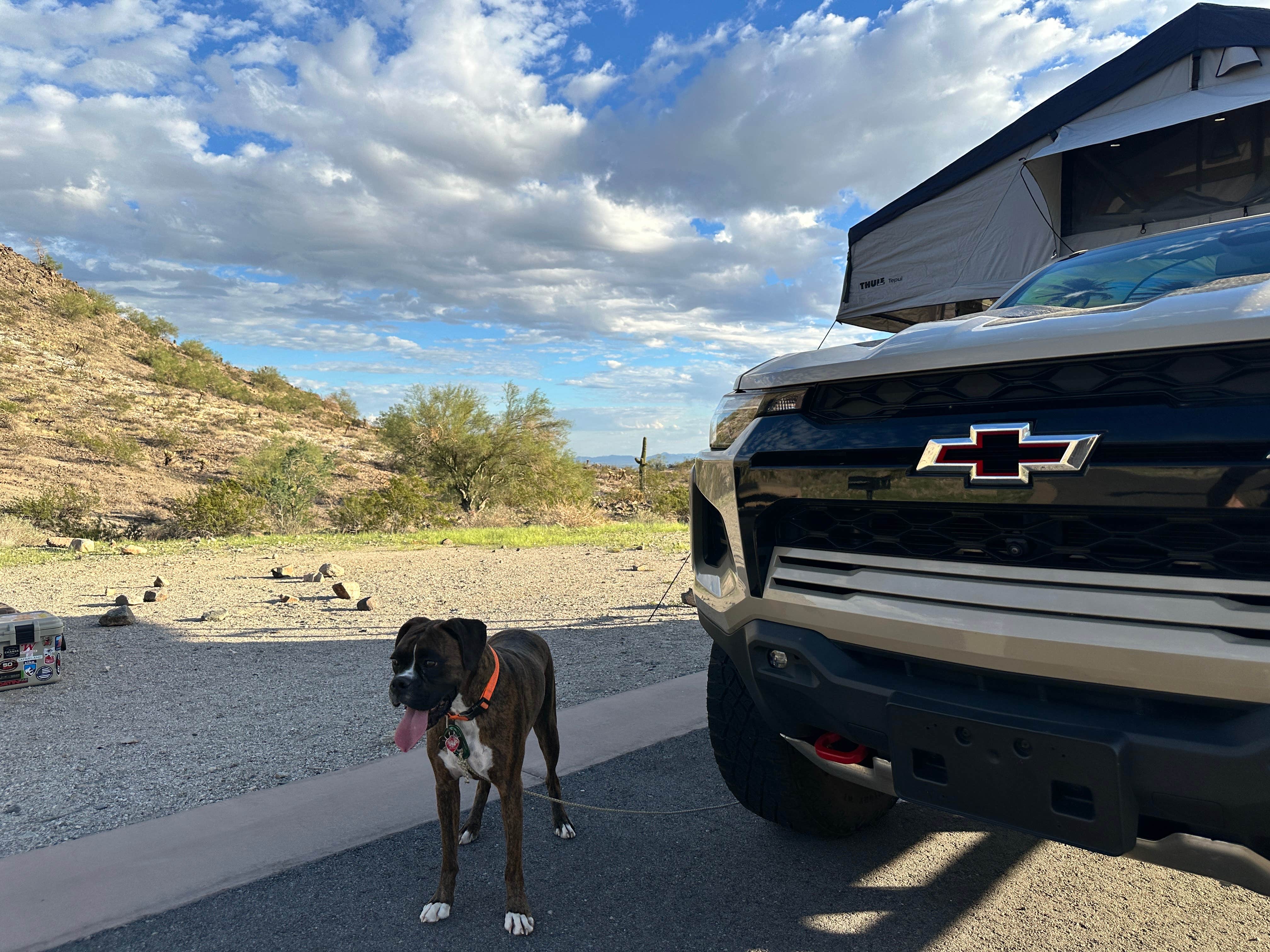 Taylor S.'s photo of camping with pets at Skyline Regional Park near Tolleson, AZ