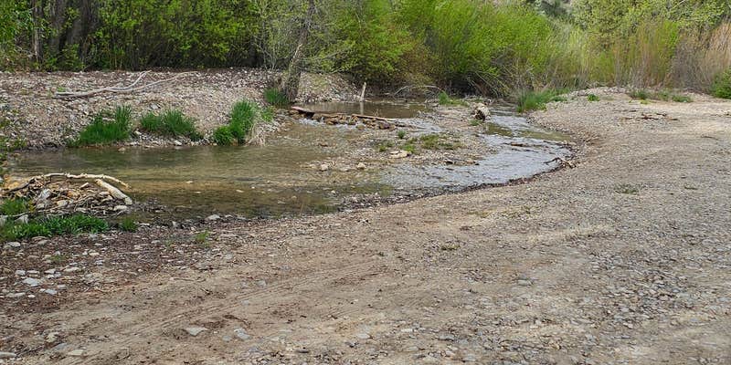 Camper submitted image from Skyline Road Creek