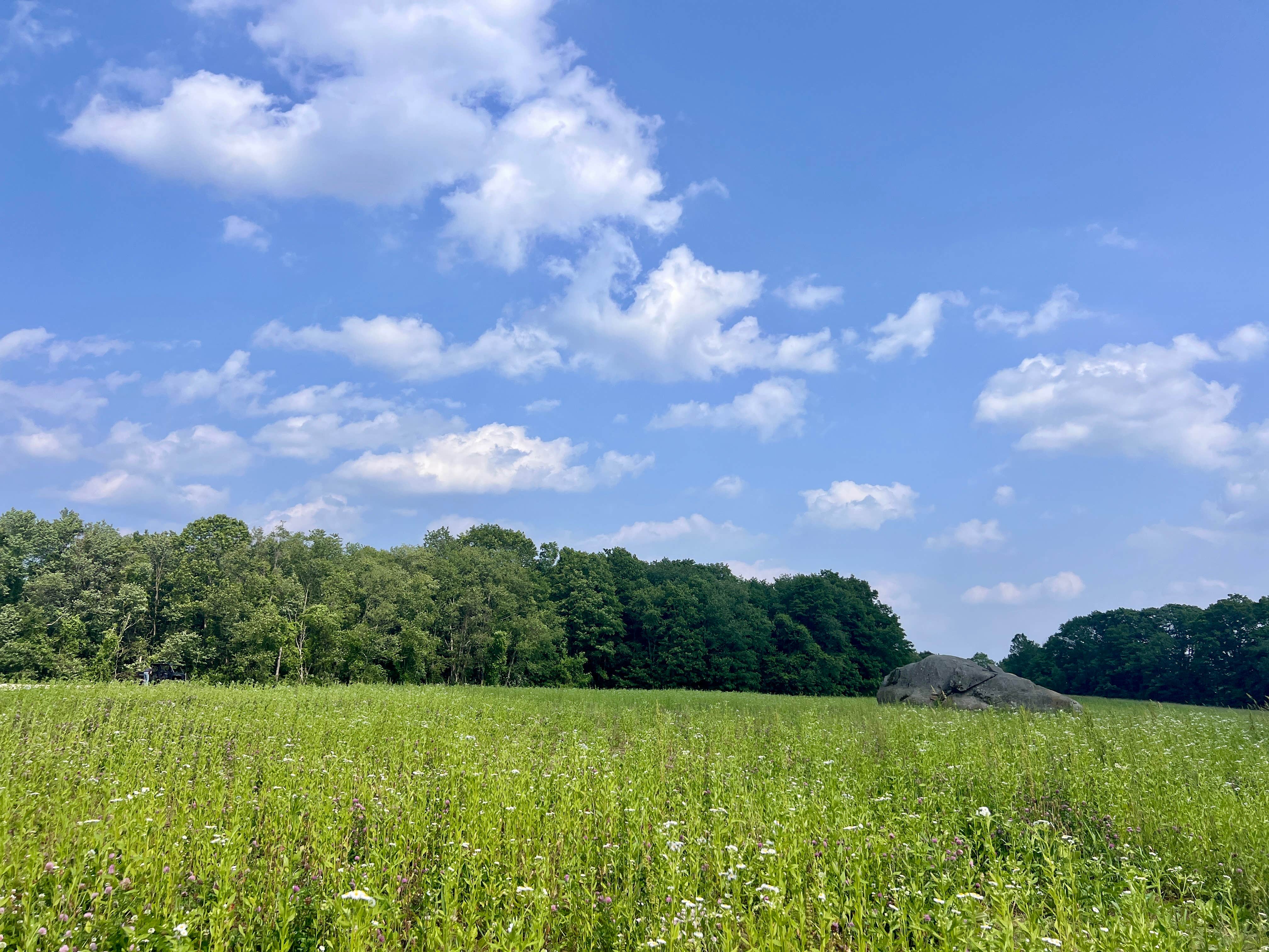 Camper-submitted photo at Skyridge Trails Campground near Riverton, CT