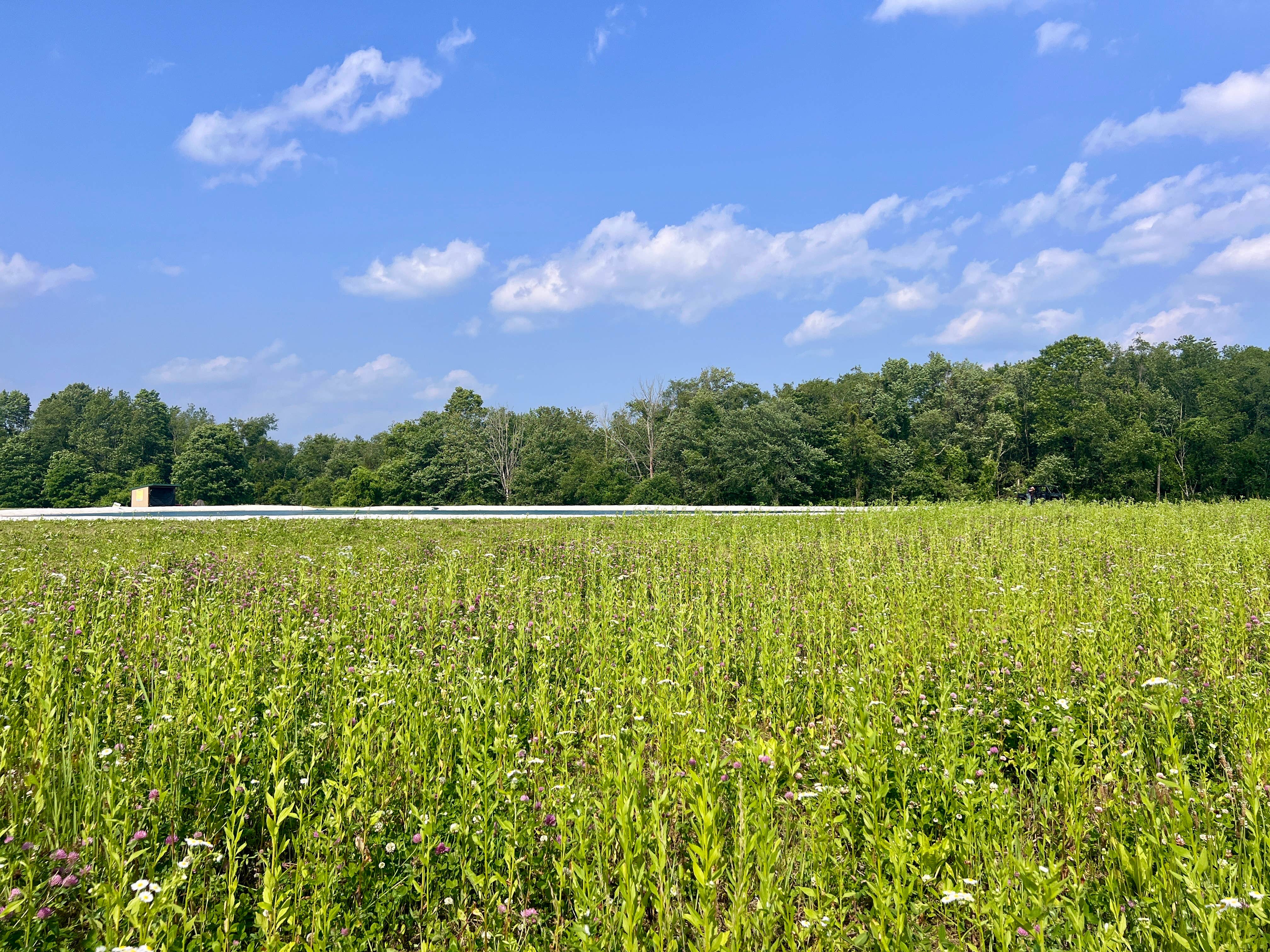 Camper-submitted photo at Skyridge Trails Campground near Riverton, CT