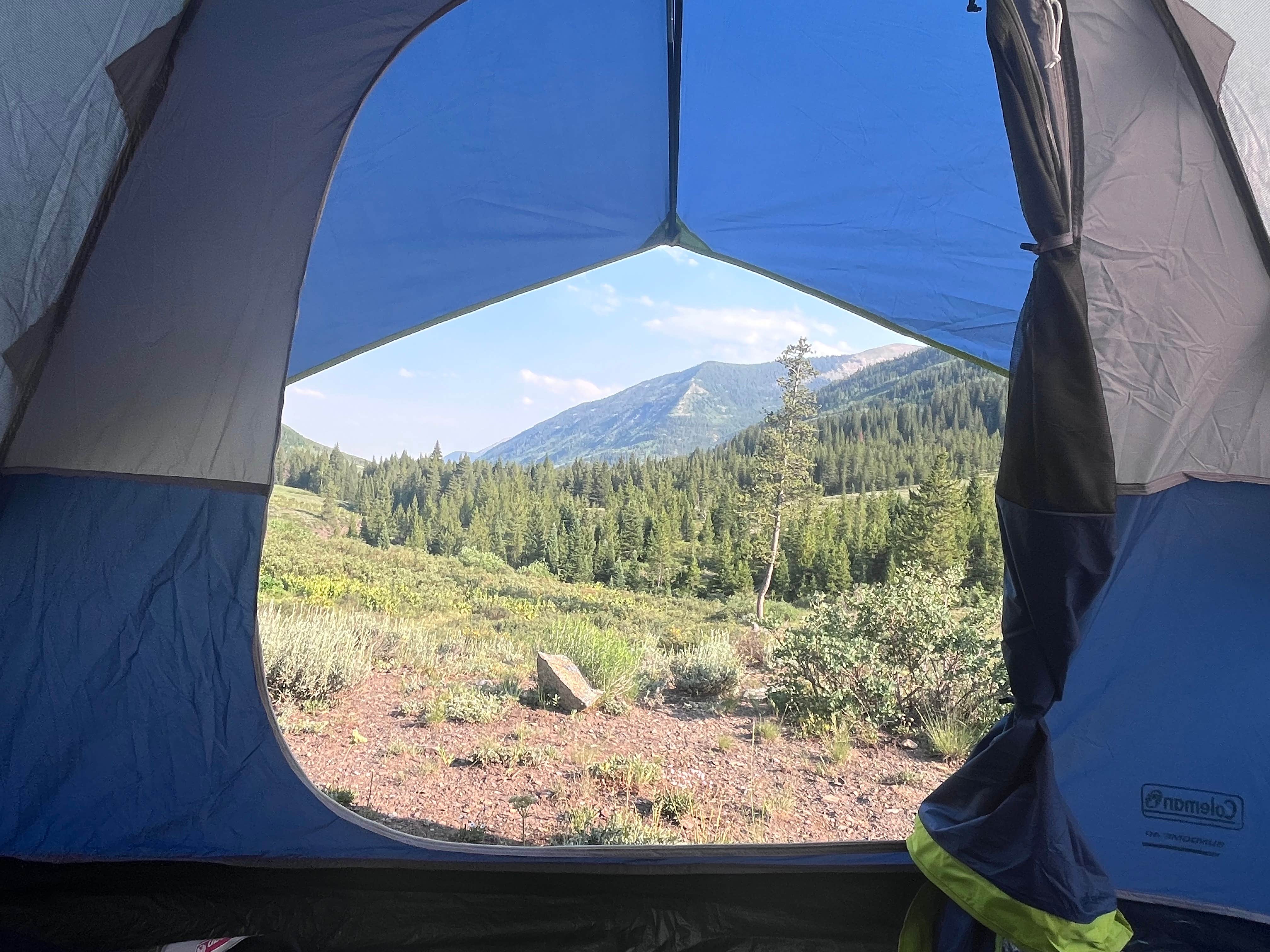 Camping near Oh Be Joyful Campground: Slate River Dispersed Camping, Crested Butte, Colorado