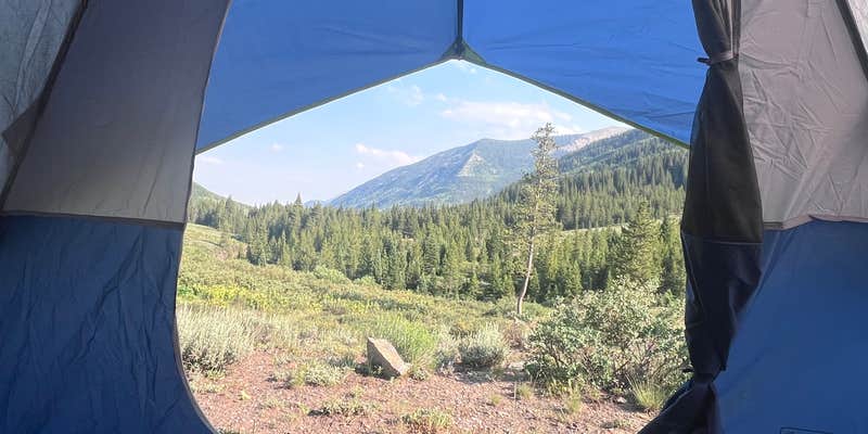 Camper submitted image from Slate River Dispersed Camping