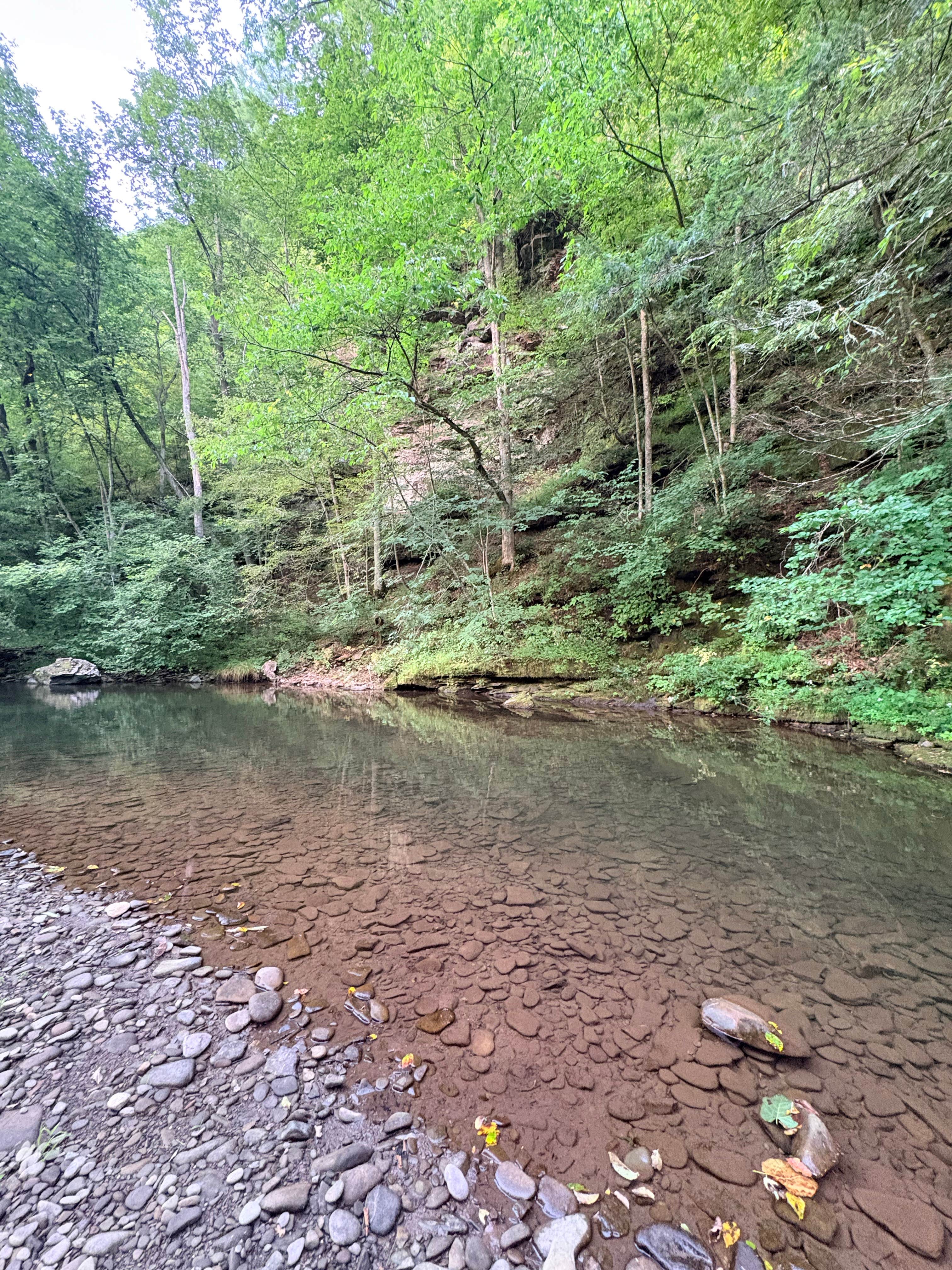 Camper-submitted photo at Slate Run Trestle Sites — Tiadaghton State Forest near Trout Run, PA