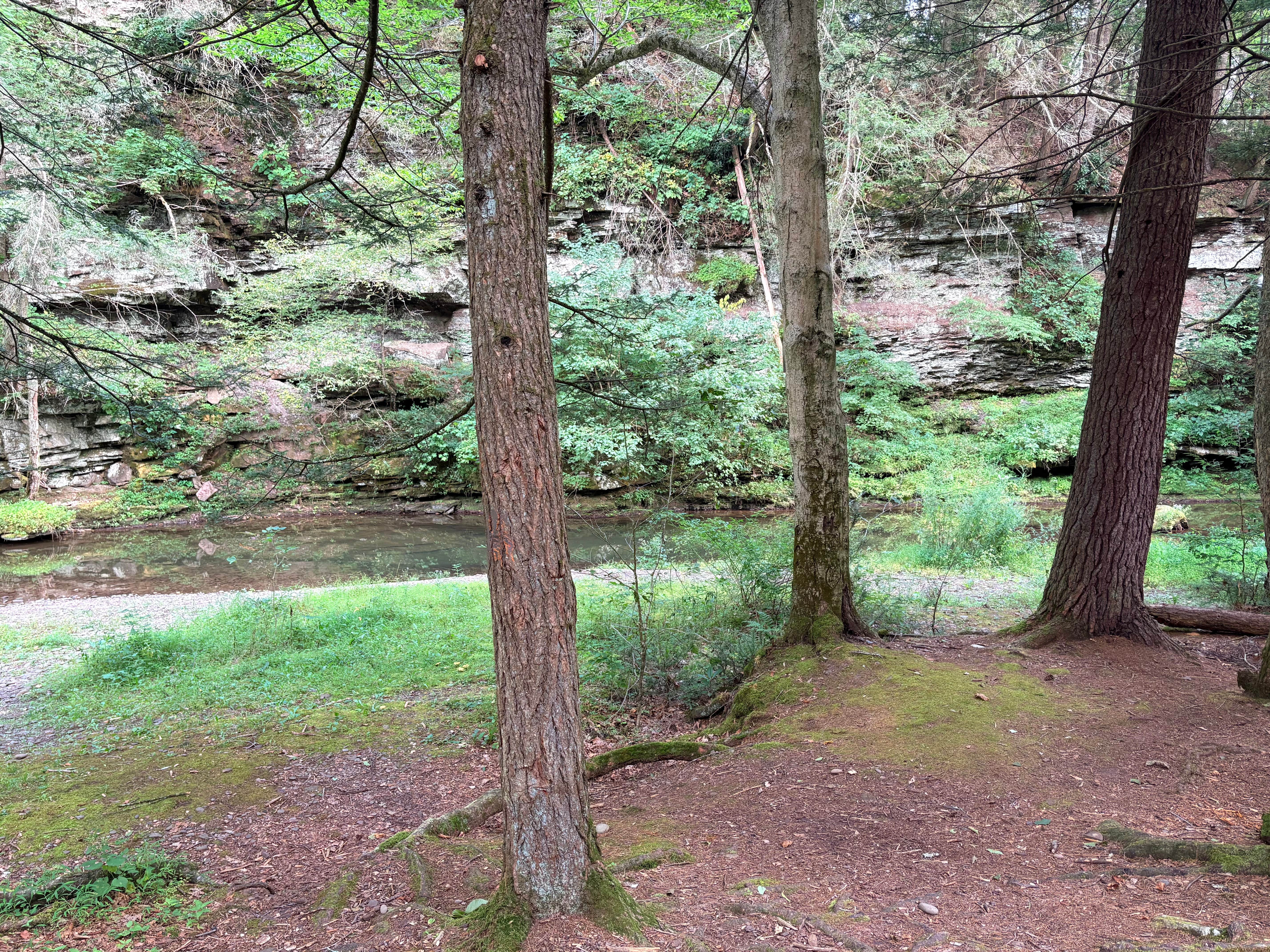 Camping near Ole Bull State Park Campground: Slate Run Trestle Sites — Tiadaghton State Forest, Slate Run, Pennsylvania