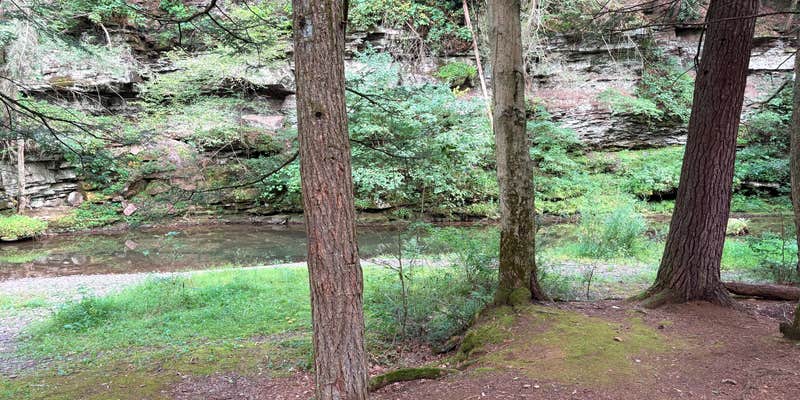 Camper submitted image from Slate Run Trestle Sites — Tiadaghton State Forest