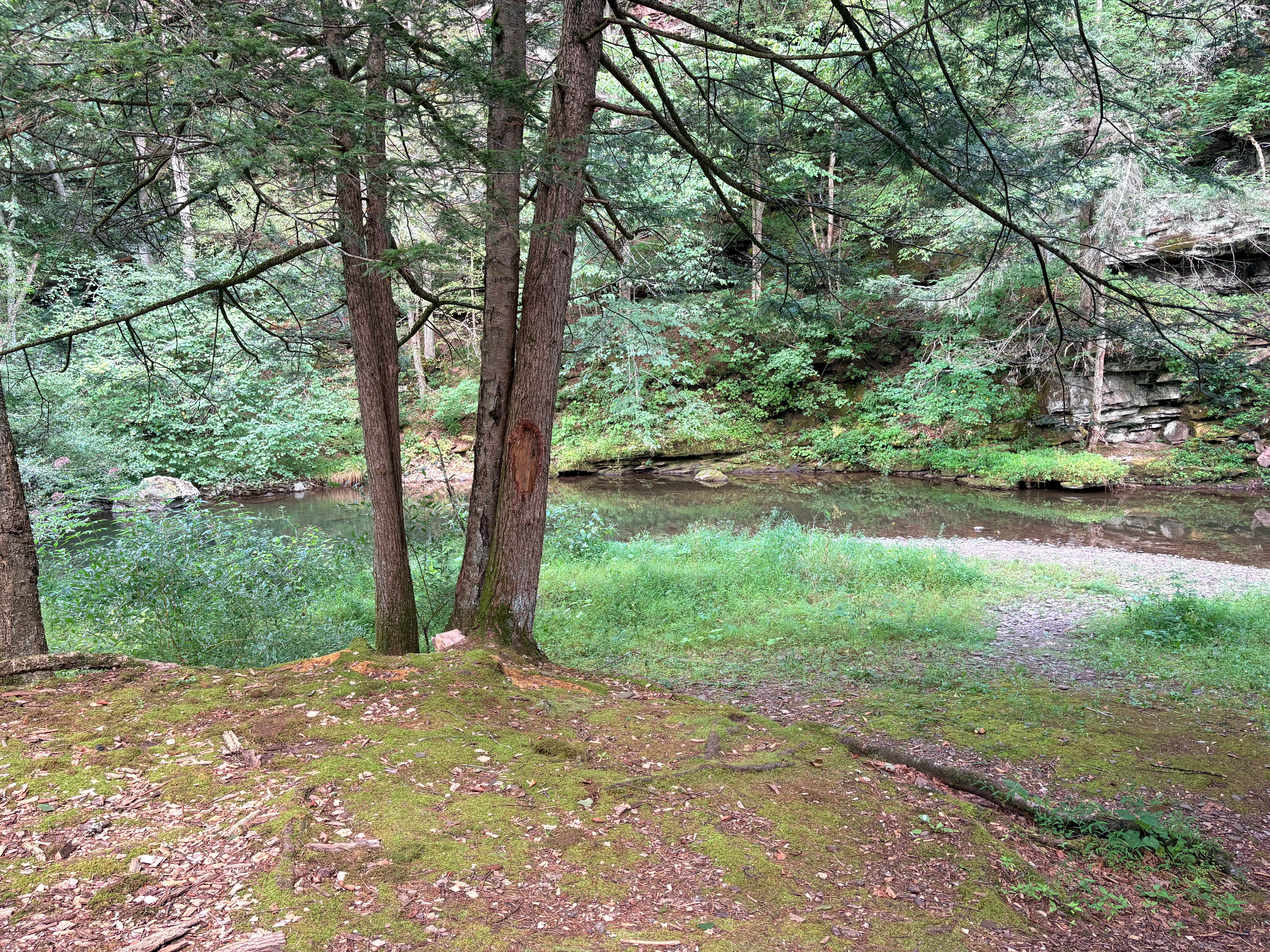 Camper-submitted photo at Slate Run Trestle Sites — Tiadaghton State Forest near Trout Run, PA