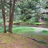 Review photo of Slate Run Trestle Sites — Tiadaghton State Forest by Corey T., August 29, 2026