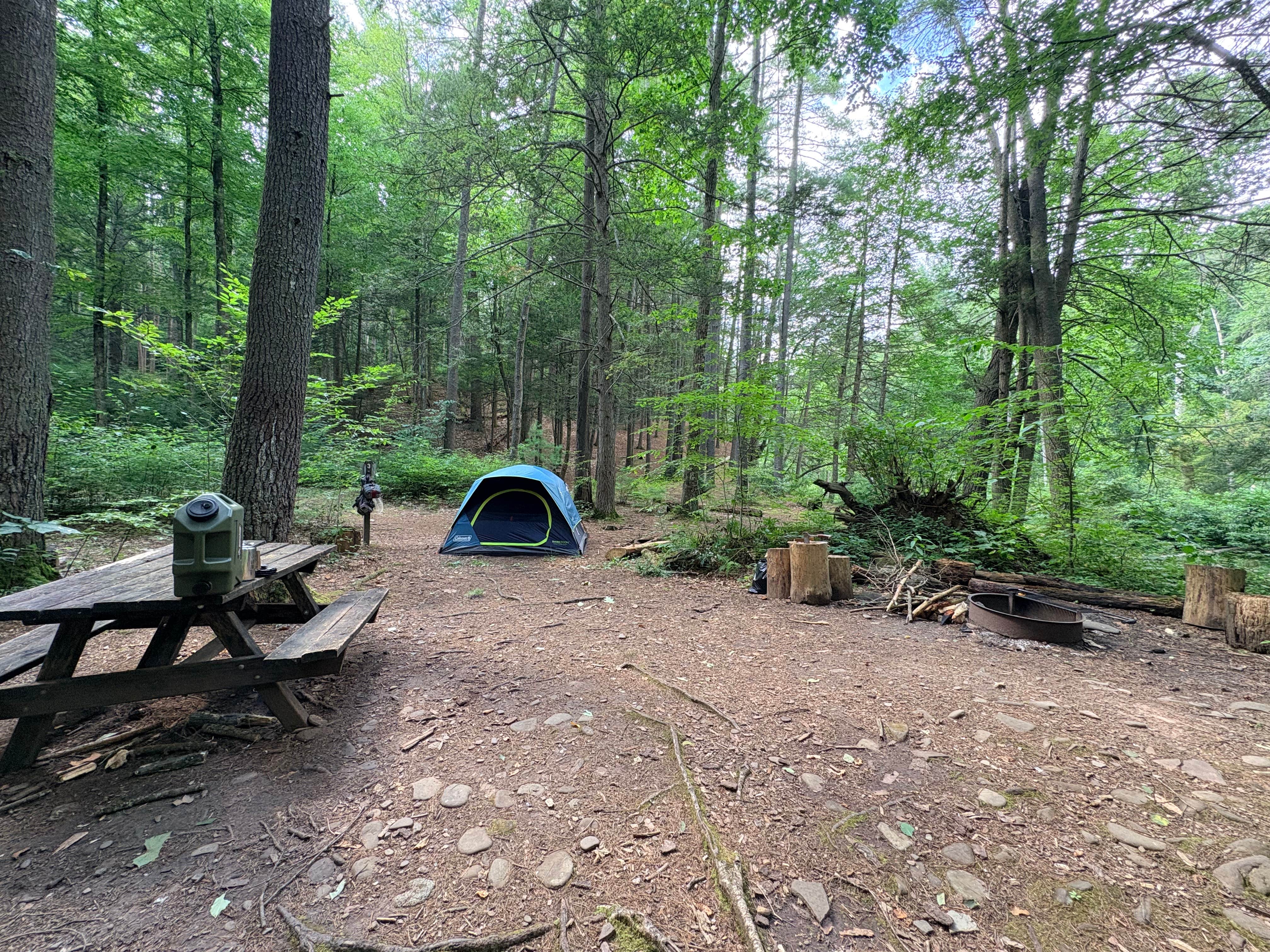 Camper-submitted photo at Slate Run Trestle Sites — Tiadaghton State Forest near Trout Run, PA