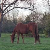 Review photo of Sleep Under The Pecan Trees by Mike J., March 15, 2026