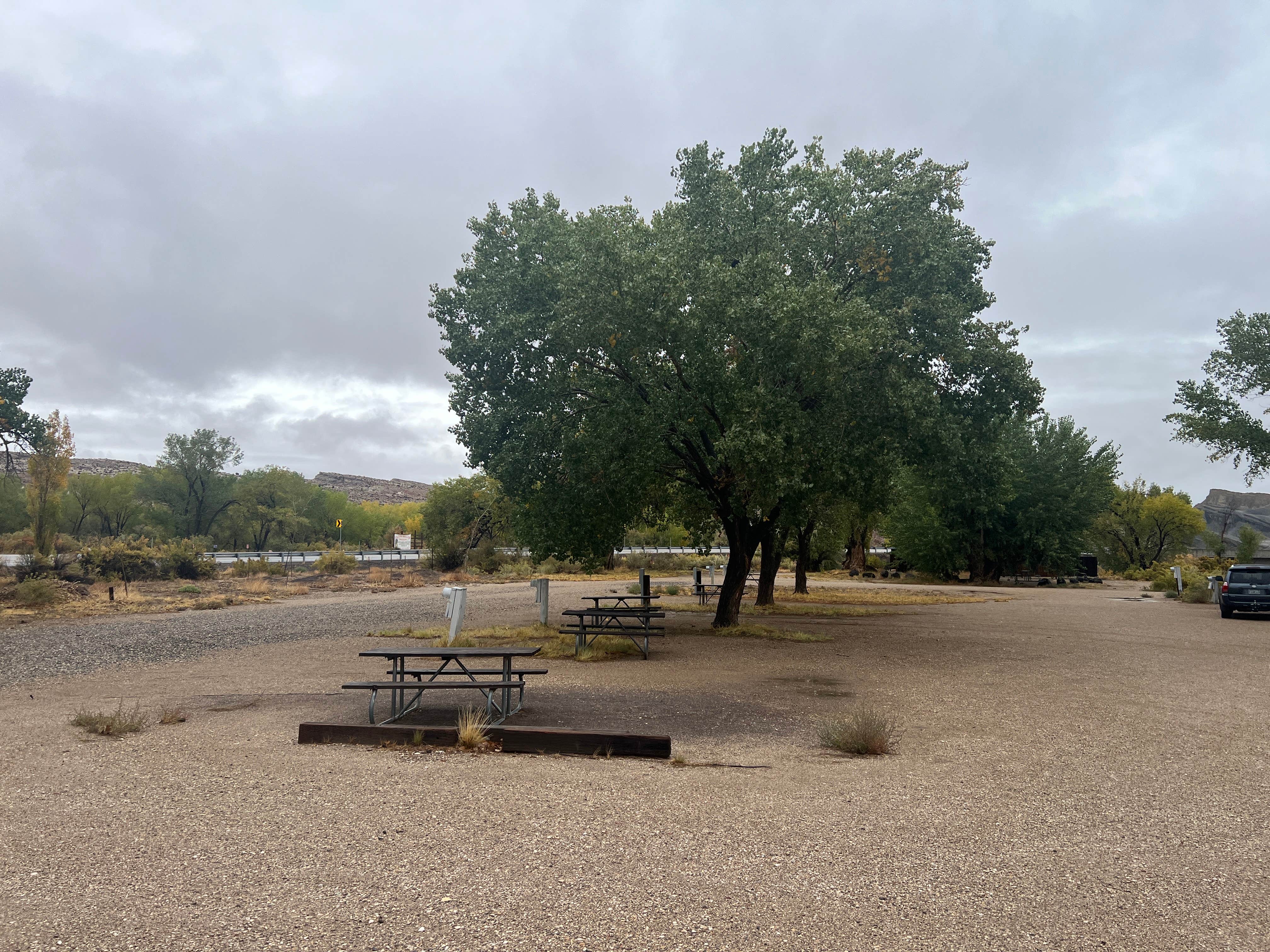 Camper submitted image from Sleepy Hollow Campground - 4