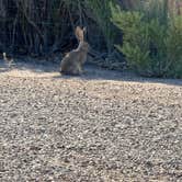 Review photo of Sleepy Hollow Campground by Danielle J., July 19, 2026