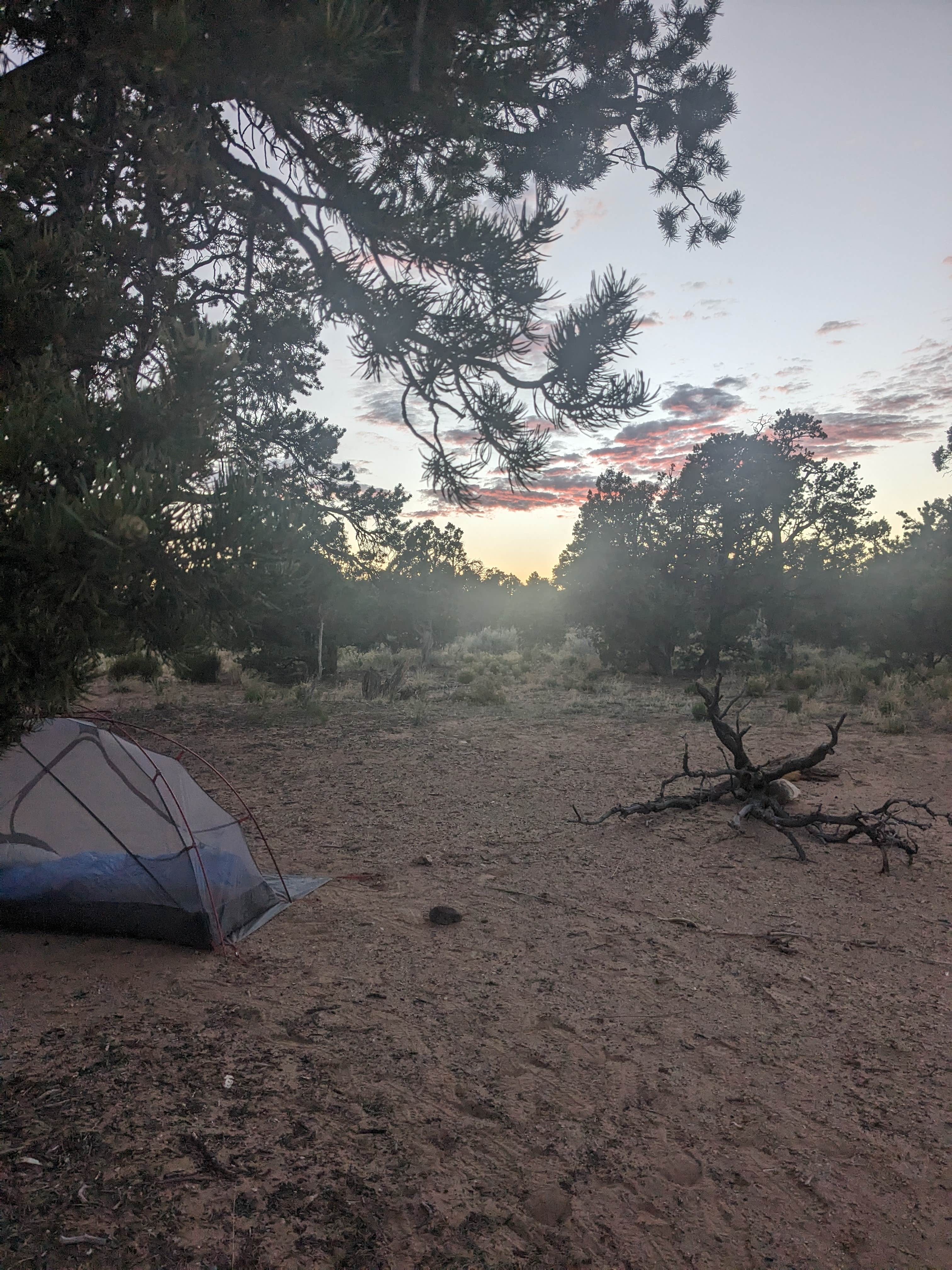 Camper-submitted photo at Slick Rock Overlook Outside of Boulder near Escalante, UT