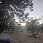 Review photo of Slick Rock Overlook Outside of Boulder by Spencer , June 11, 2024