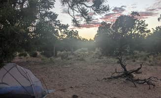 Spencer's photo at Slick Rock Overlook Outside of Boulder near Boulder, UT