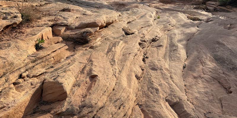 Camper submitted image from Slickhorn Canyon Trailhead Dispersed