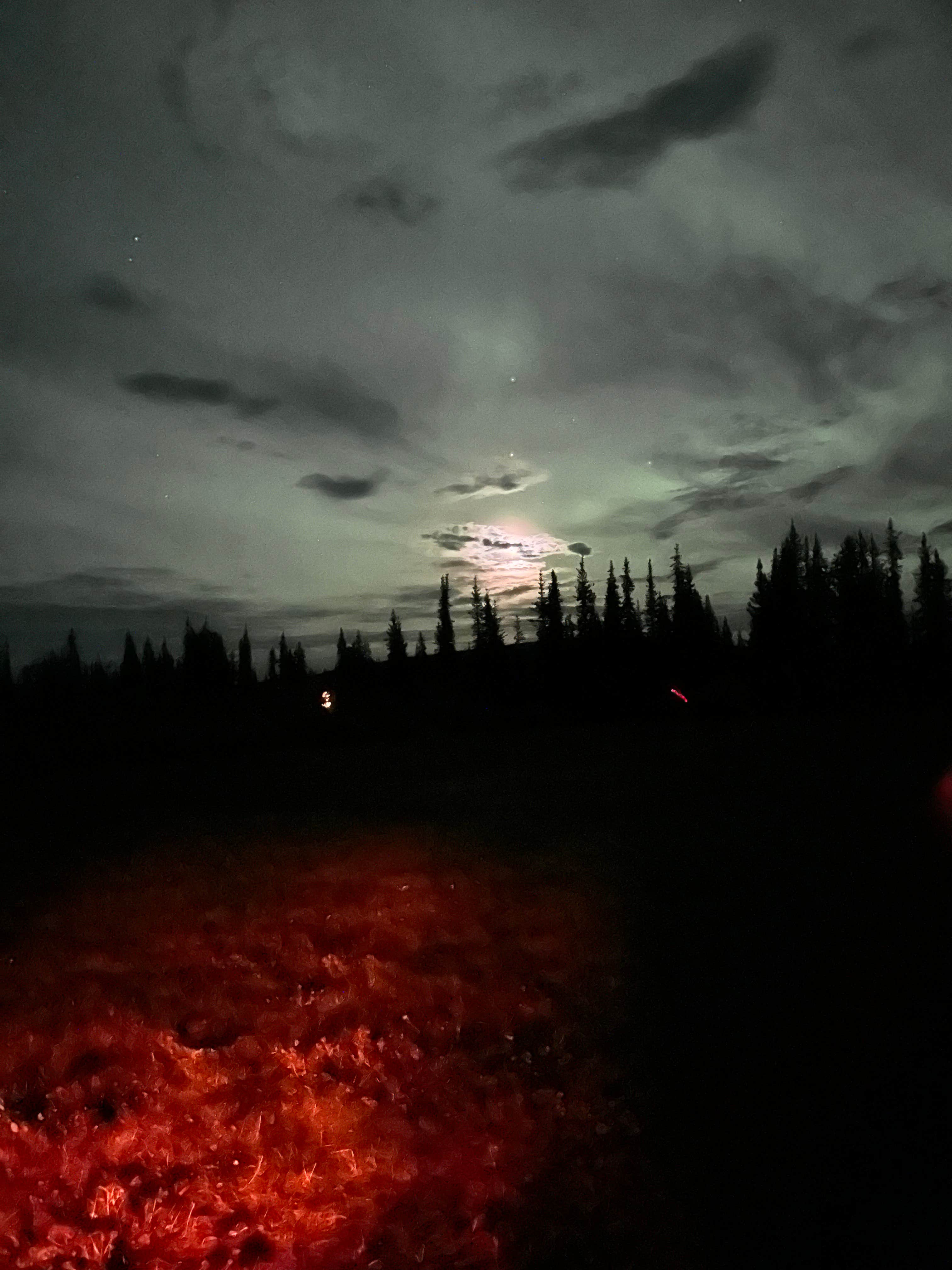 Camping near Lake Louise State Rec Area: Slide Mountain Cabins and RV Park, Glennallen, Alaska