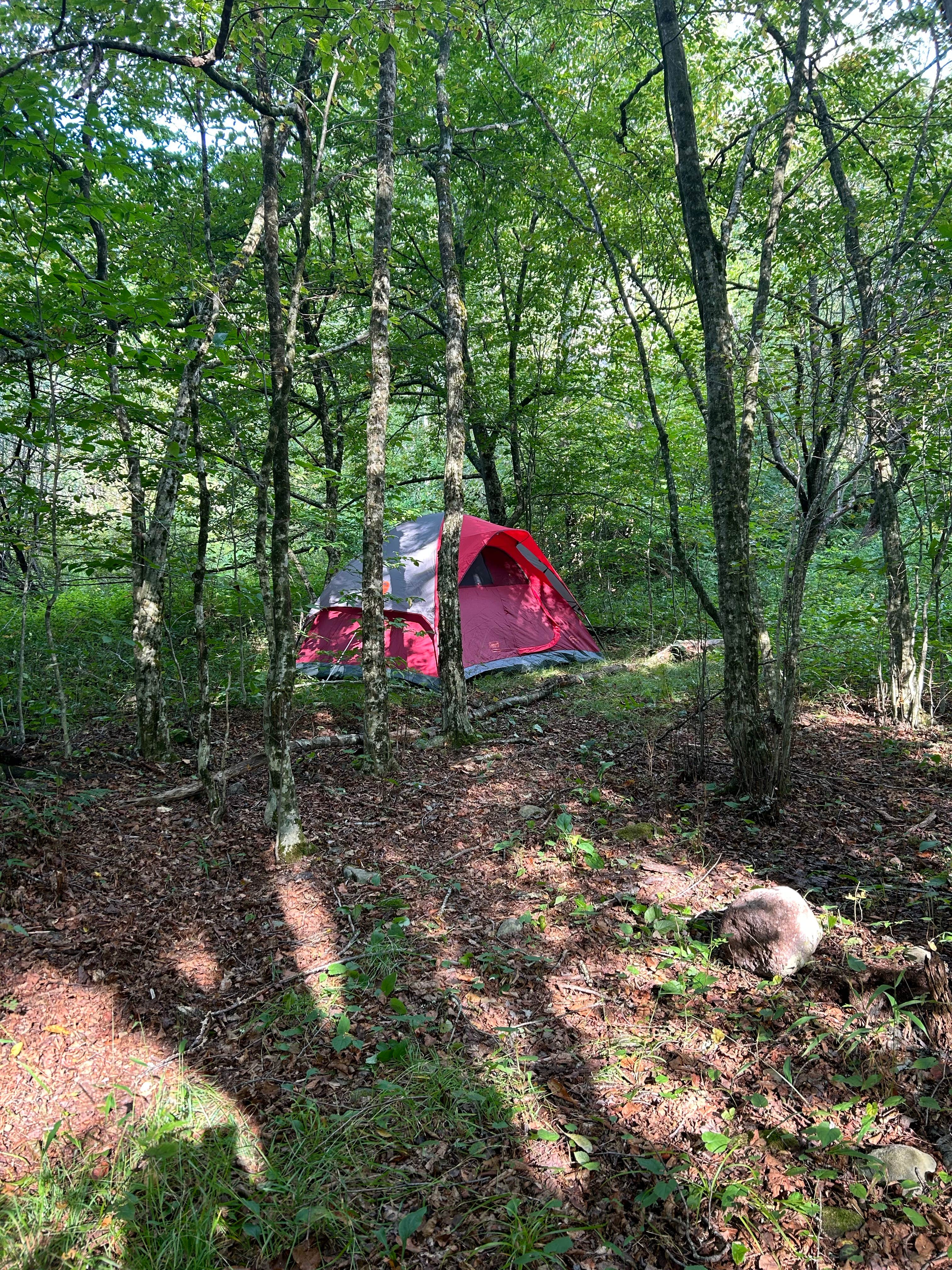Camper-submitted photo at Slide Mountain Wilderness Roadside Campsite near Bloomville, NY