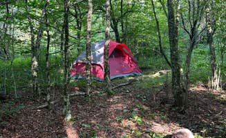 Emma L.'s photo of tent camping at Slide Mountain Wilderness Roadside Campsite near Hudson, NY