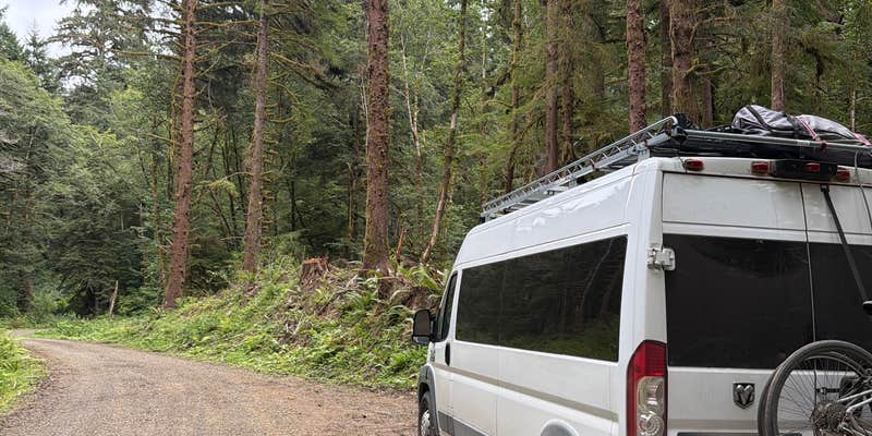 Camper submitted image from Sloan Creek