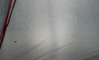 Kristen T.'s photo at COE Perry Lake Slough Creek Park near Clinton Lake