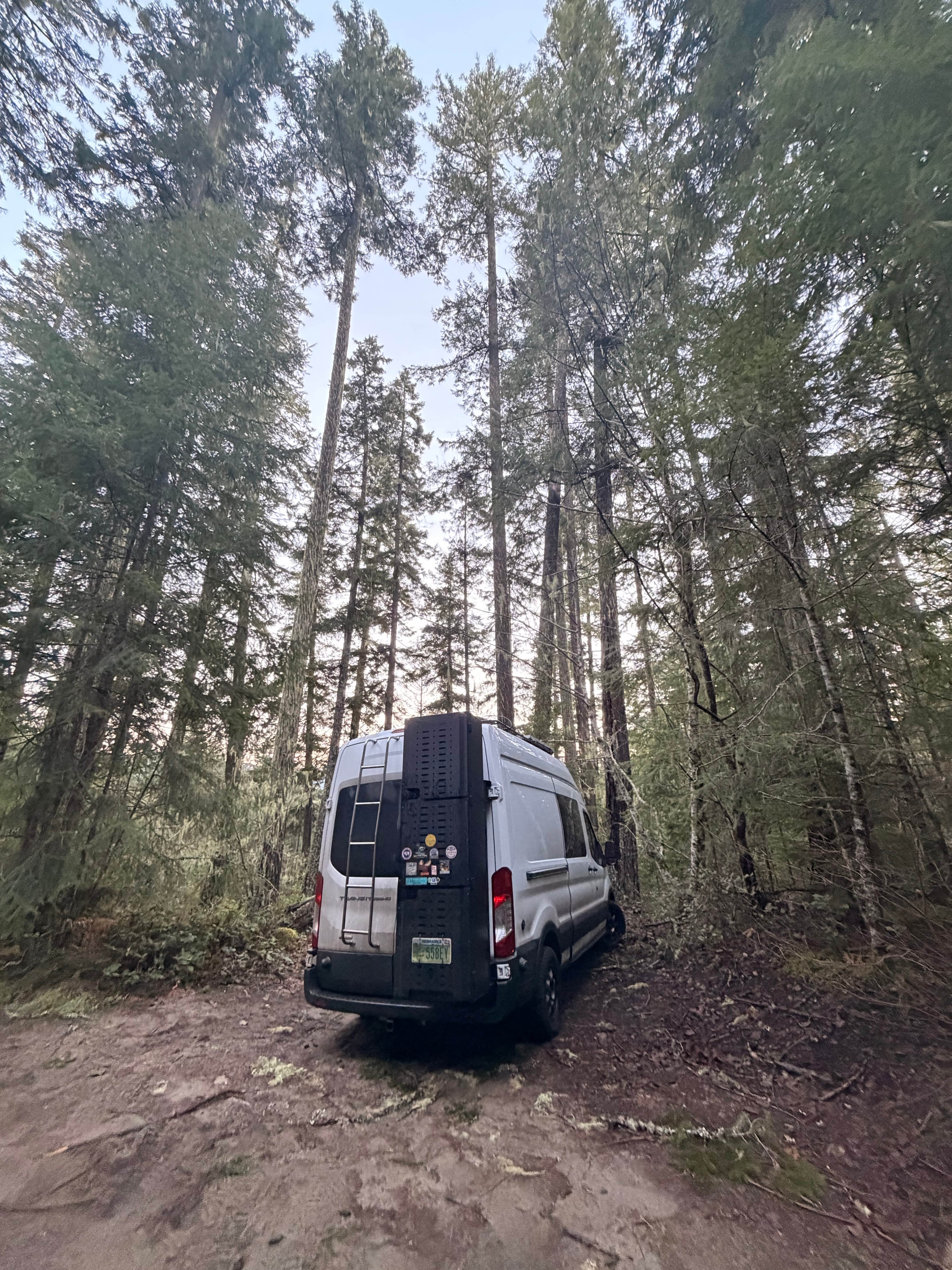 Camper-submitted photo at Sluice Creek Dispersed Spot near Packwood, WA