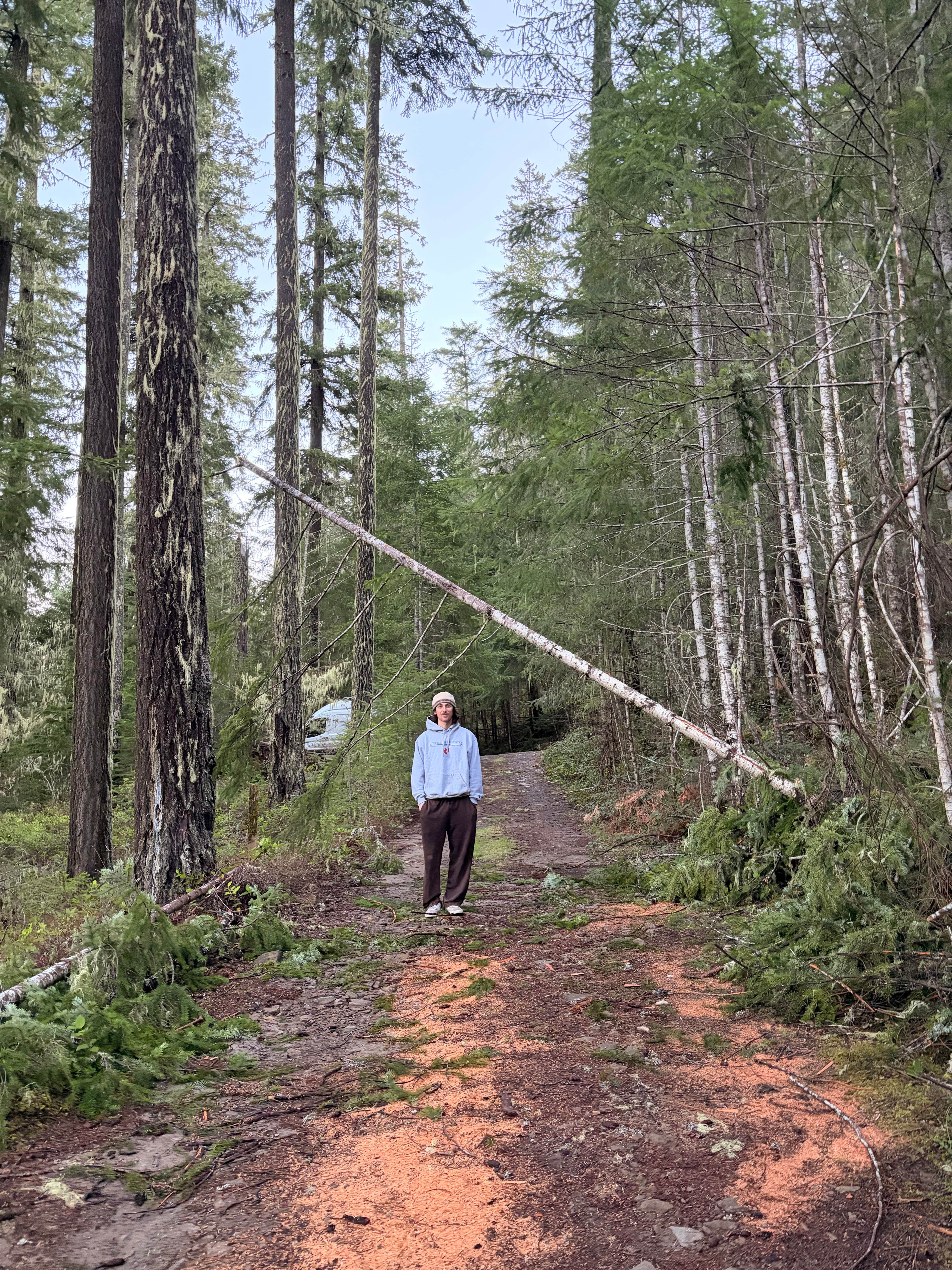 Camper-submitted photo at Sluice Creek Dispersed Spot near Packwood, WA