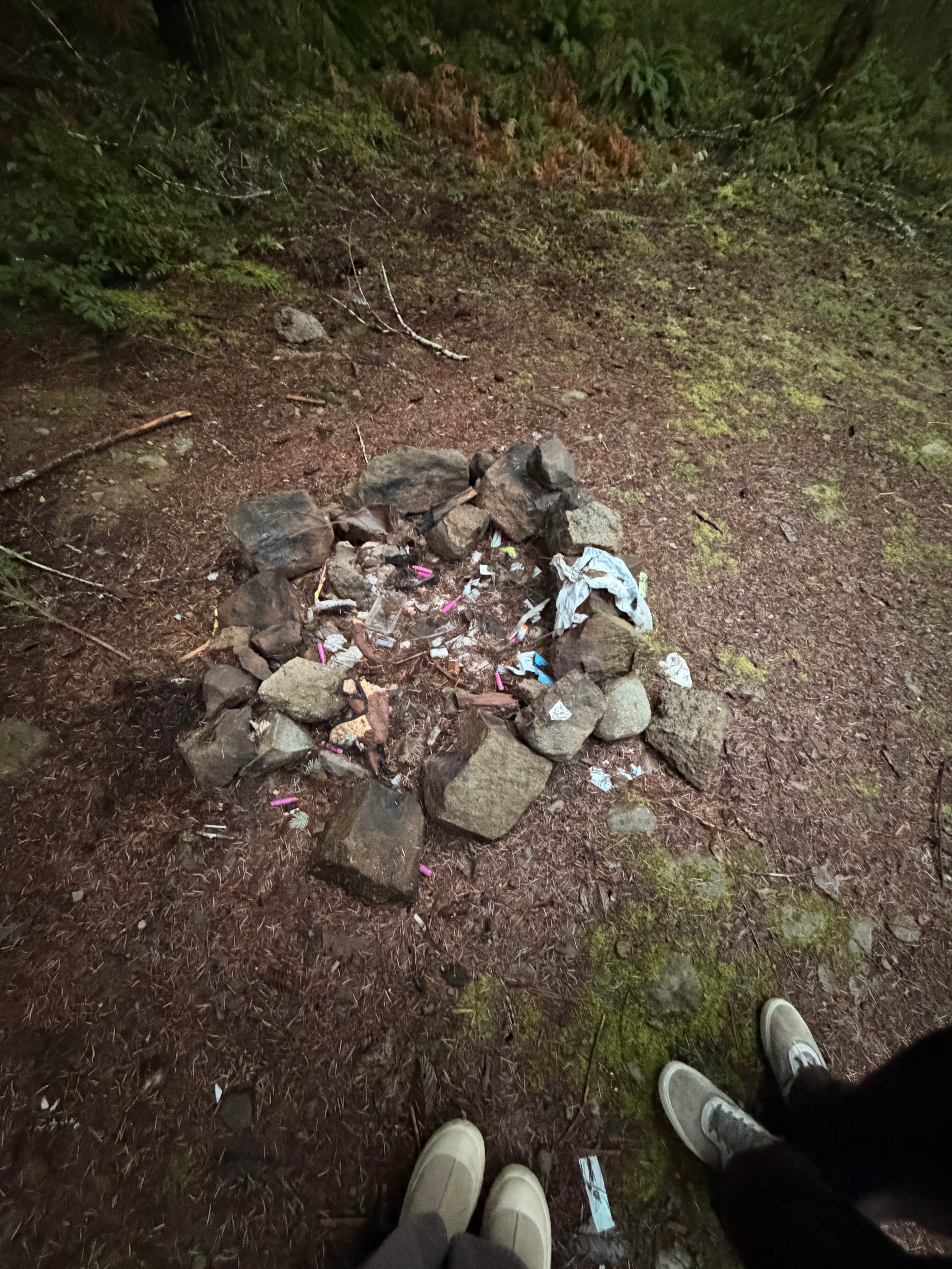 Camper-submitted photo at Sluice Creek Dispersed Spot near Packwood, WA
