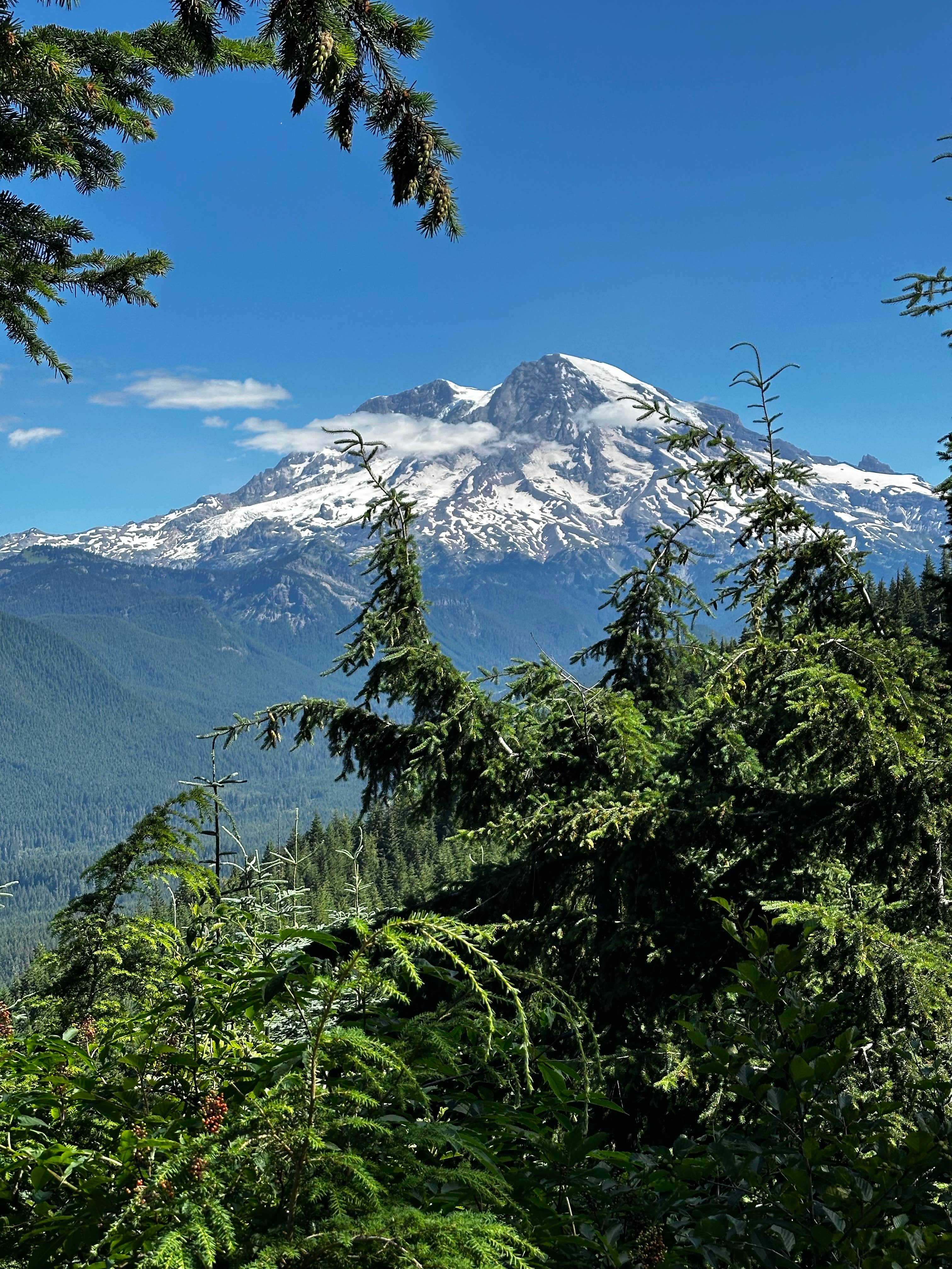 Camper-submitted photo at Small Site but Million $ View! near La Grande, WA
