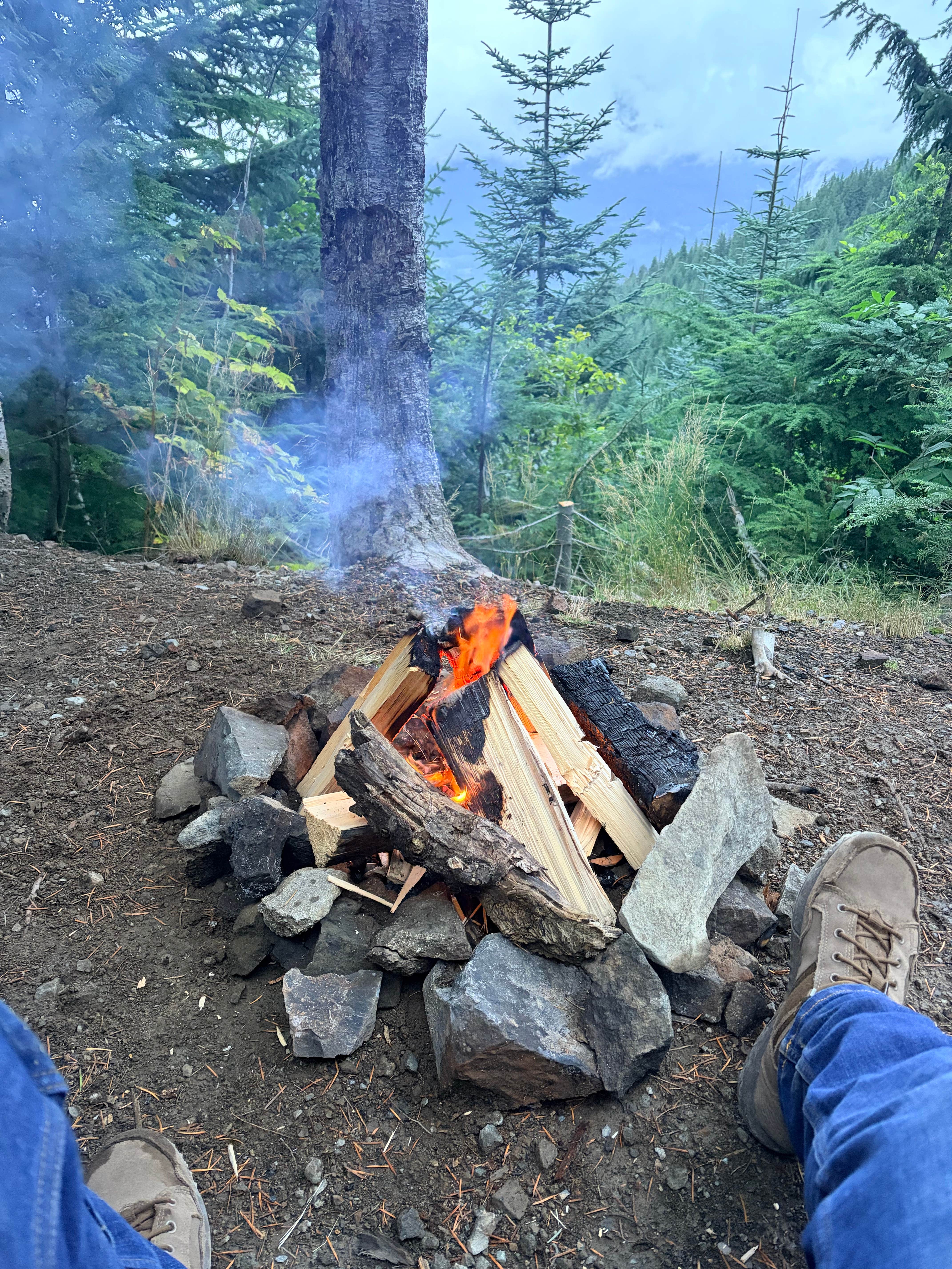 Camper-submitted photo at Small Site but Million $ View! near Randle, WA