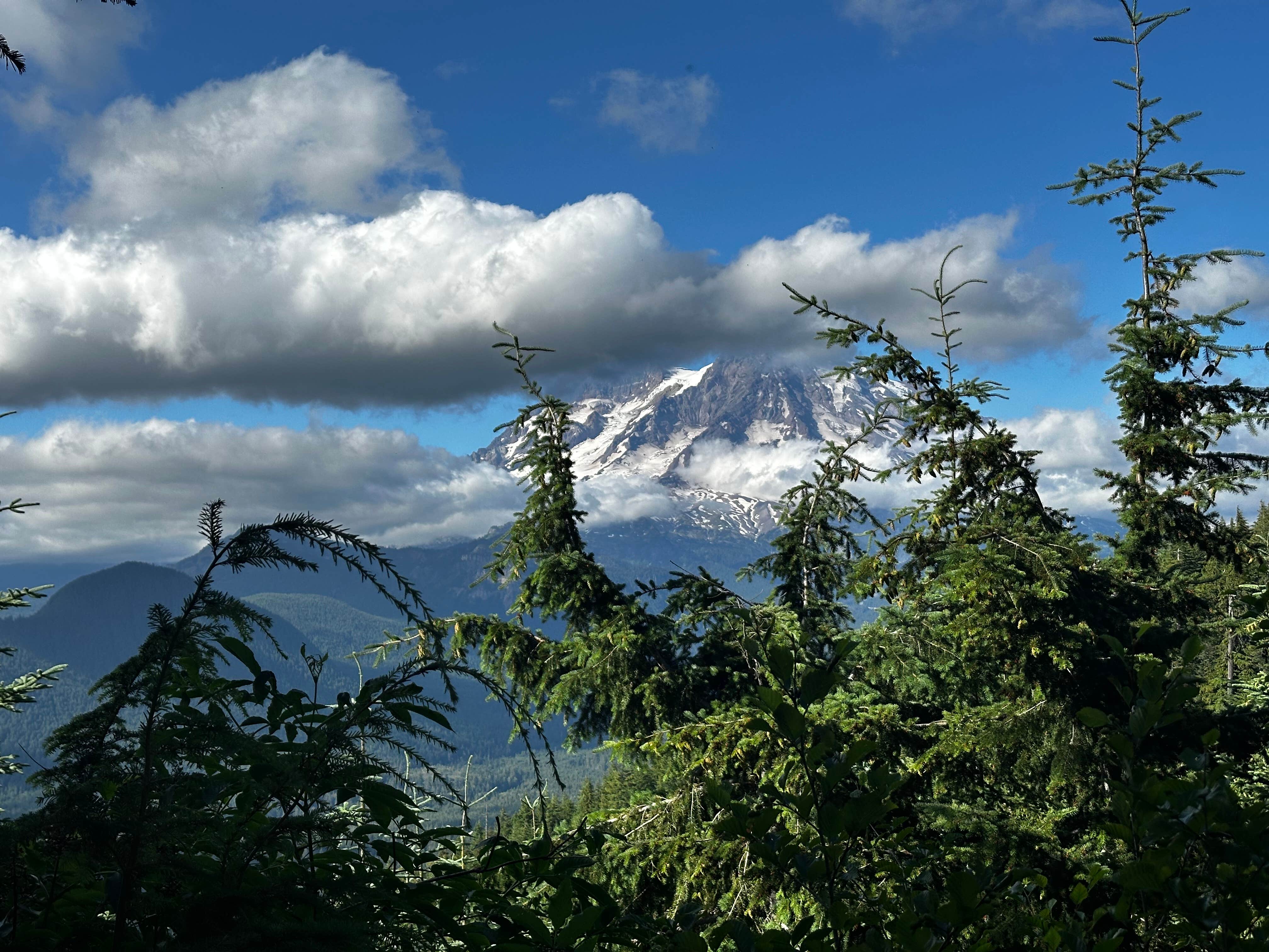 Erik I.'s photo of a dispersed camping area at Small Site but Million $ View! near Lake Tapps, WA