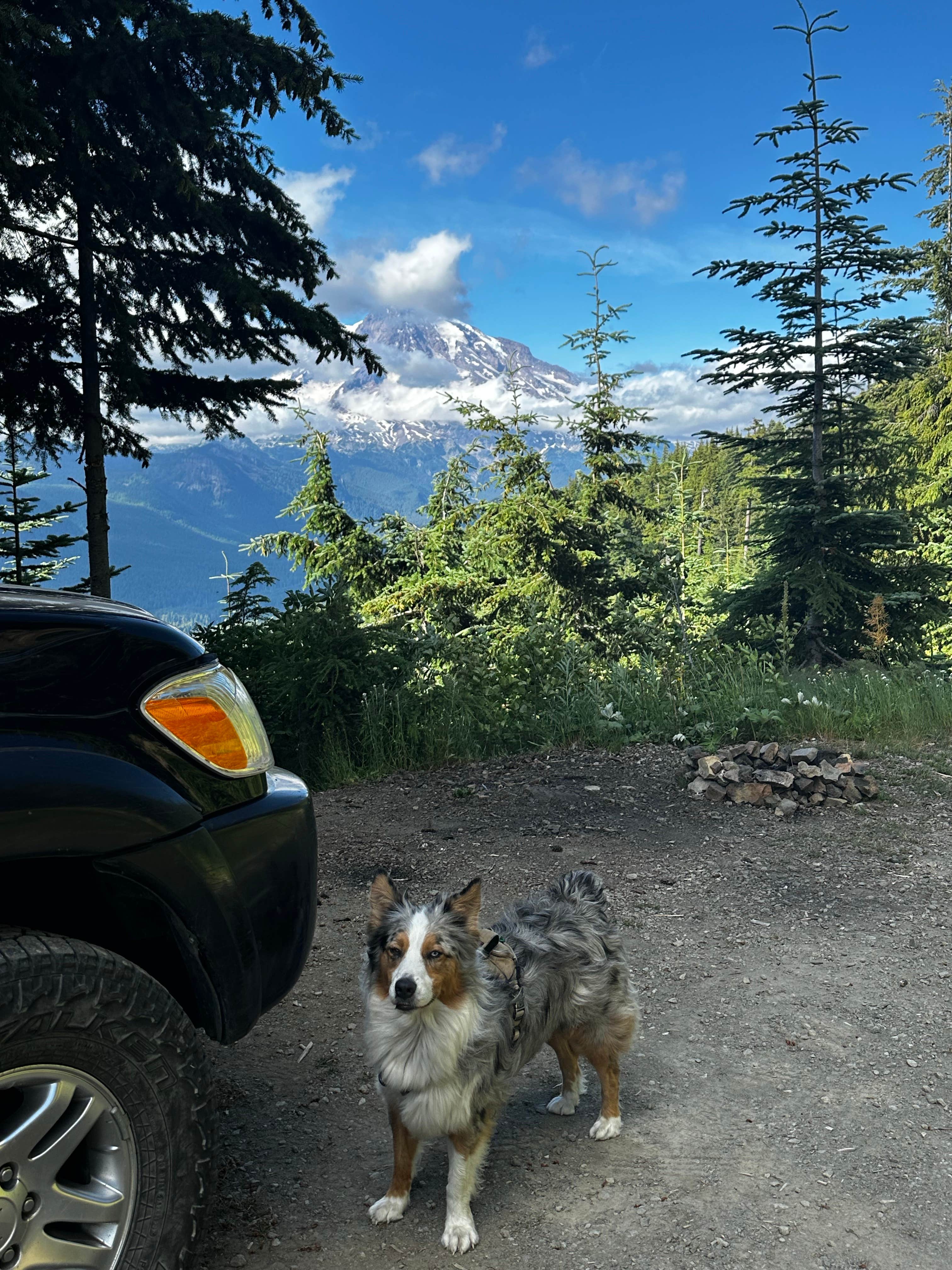 Camper submitted image from Small Site but Million $ View! - 2