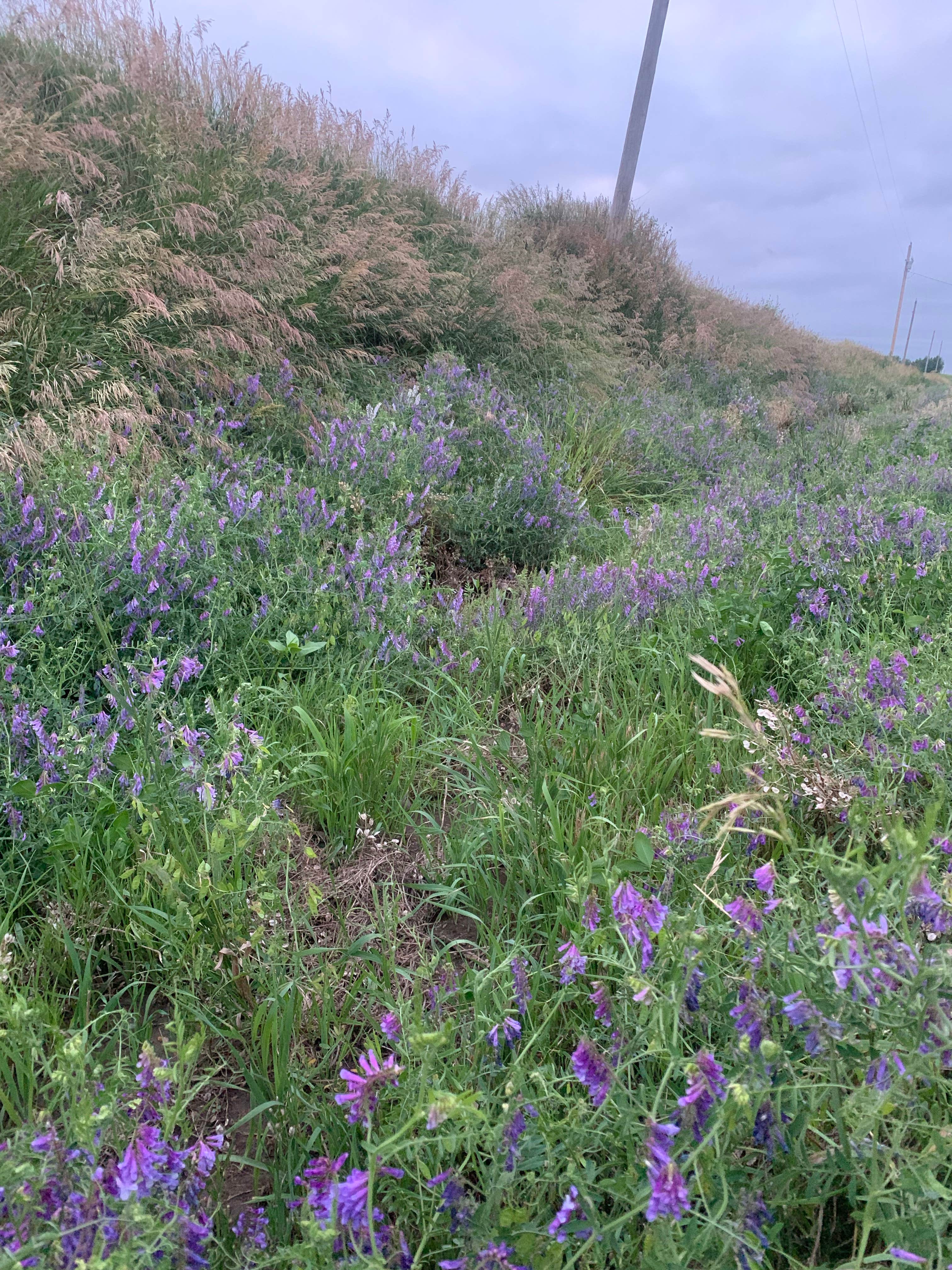 Camper-submitted photo at Smith Creek Recreation Area near Seward, NE