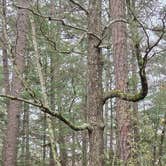 Review photo of Smith Lake Army RV Park by Clean Slate D., December 13, 2021