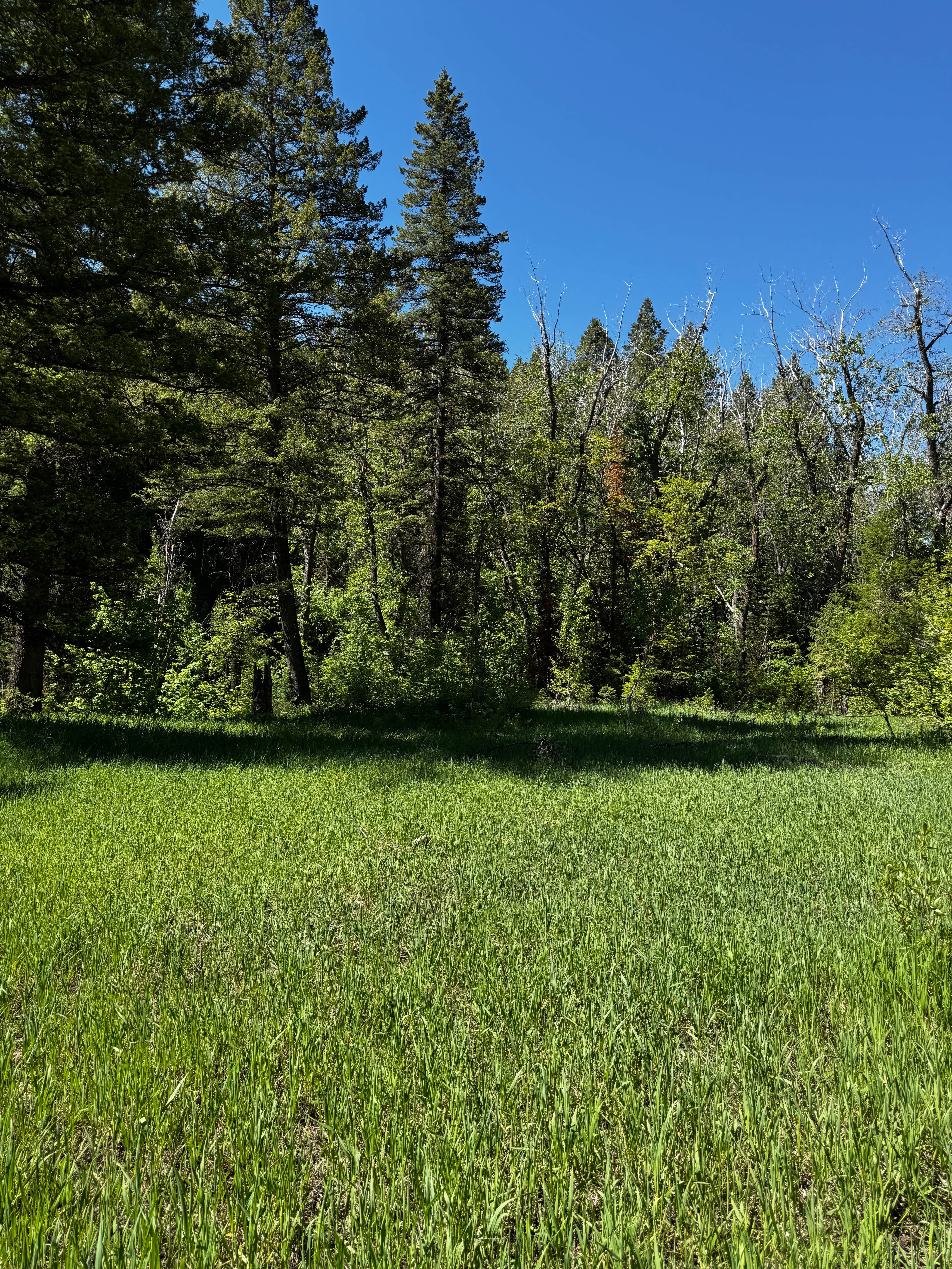 Camper-submitted photo at Smithfield Dispersed Campsite near Paradise, UT