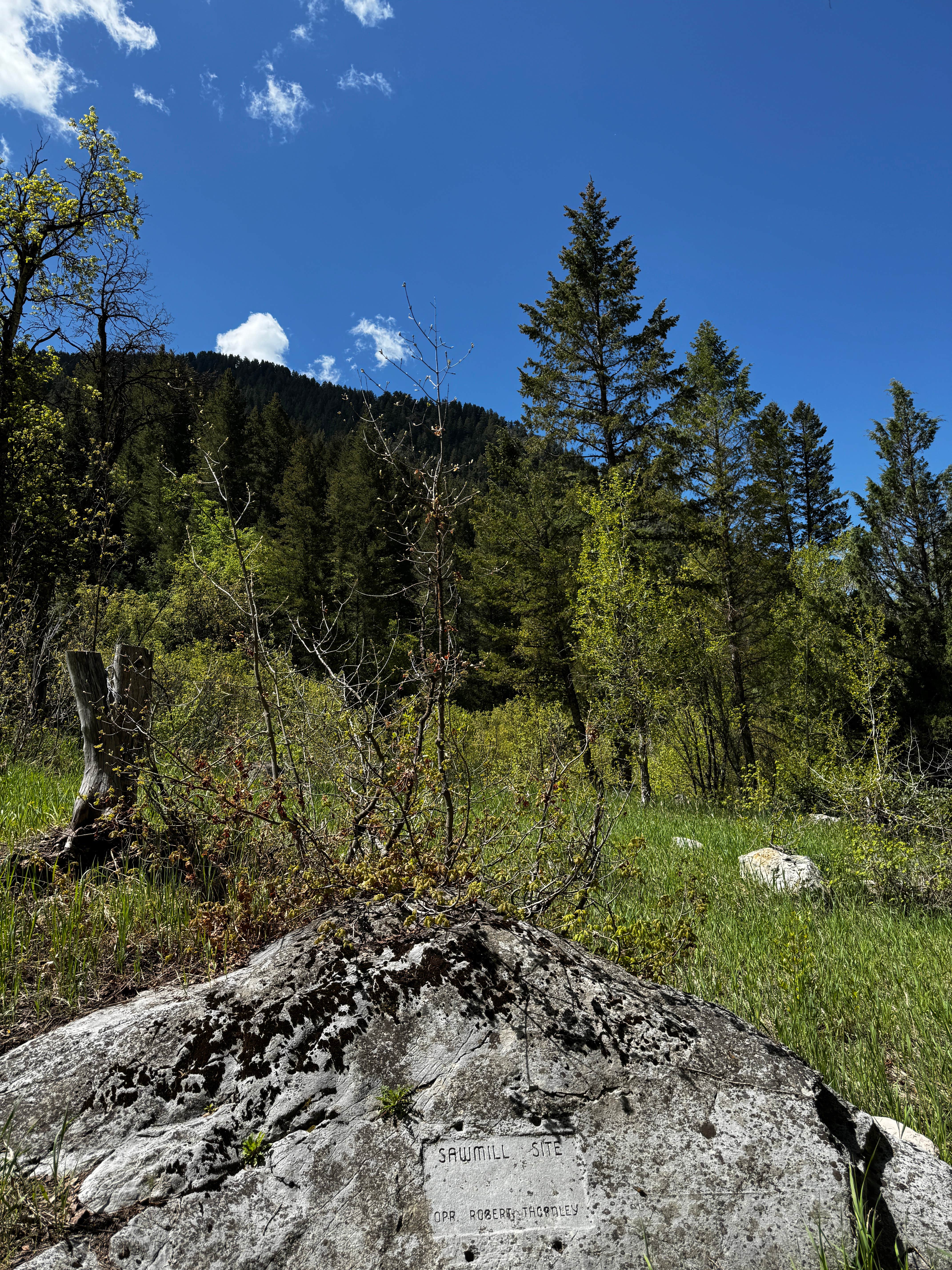 Camper submitted image from Smithfield Dispersed Campsite - 1