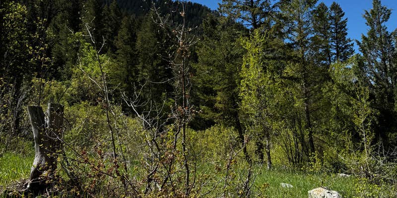 Camper submitted image from Smithfield Dispersed Campsite