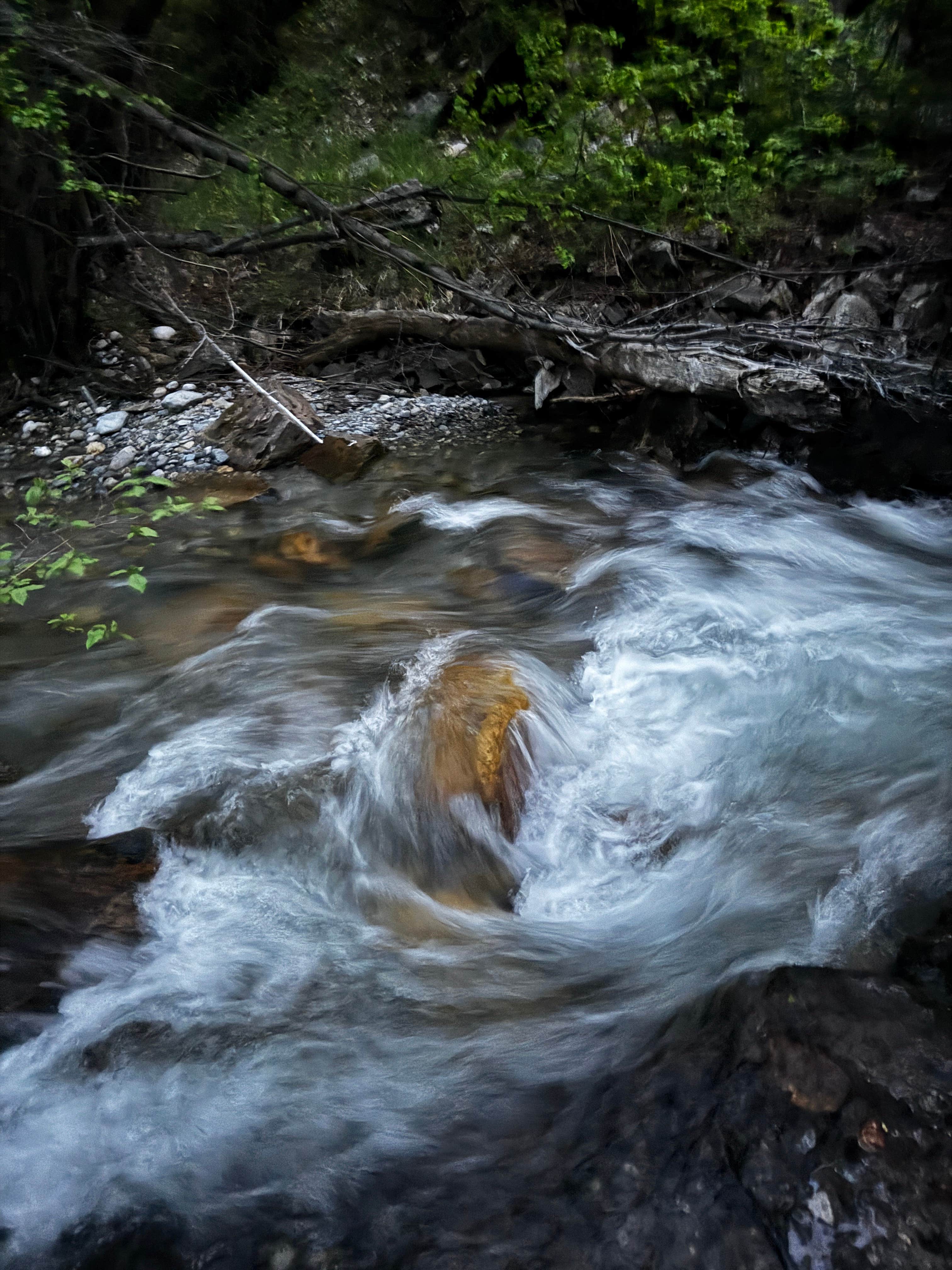 Camper-submitted photo at Smithfield Dispersed Campsite near Paradise, UT