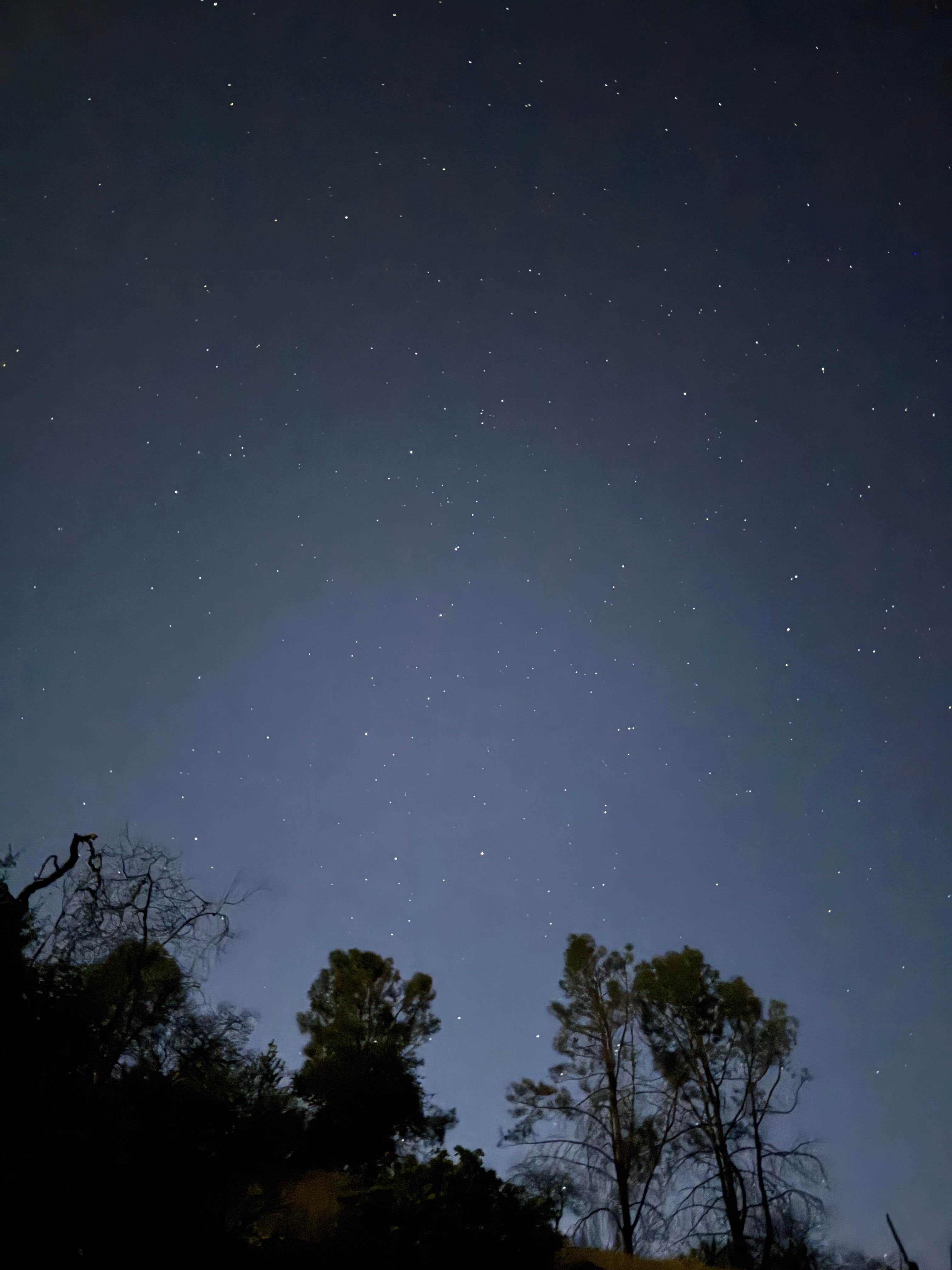 Camper-submitted photo at smittle creek near Sebastopol, CA