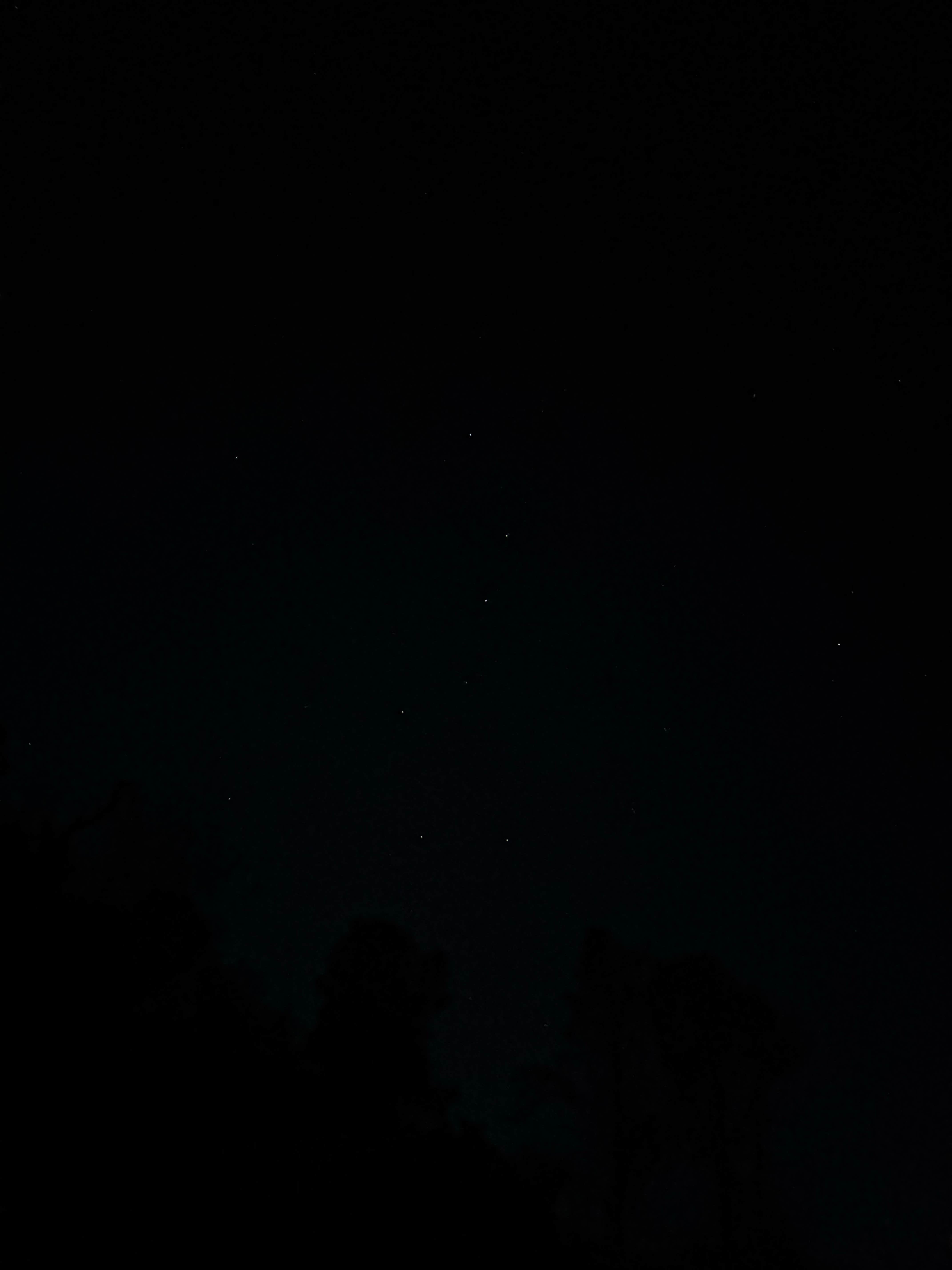 Camper-submitted photo at smittle creek near Sebastopol, CA