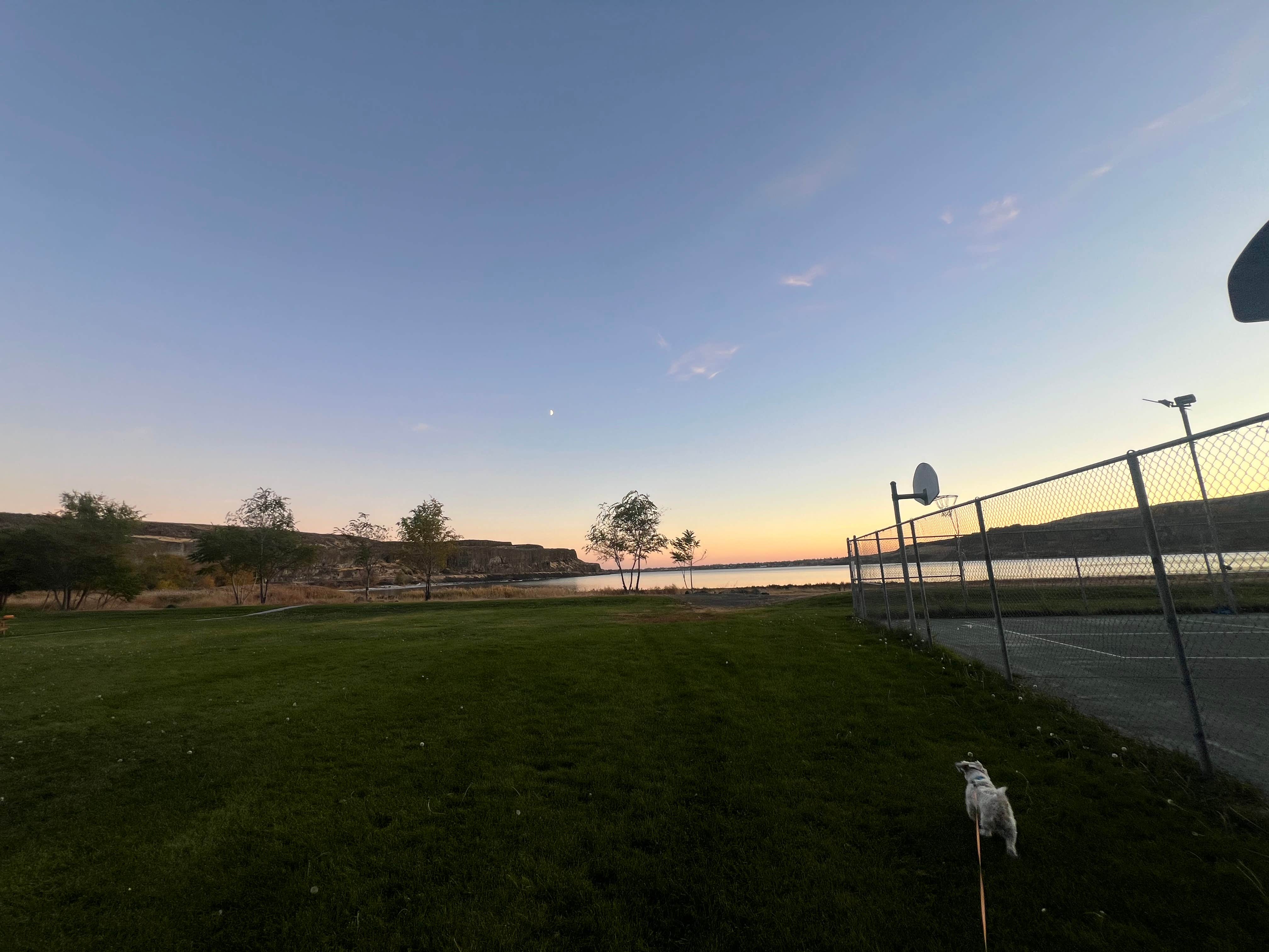 Carly B.'s photo of camping with pets at Smokiam RV Resort near Moses Lake, WA