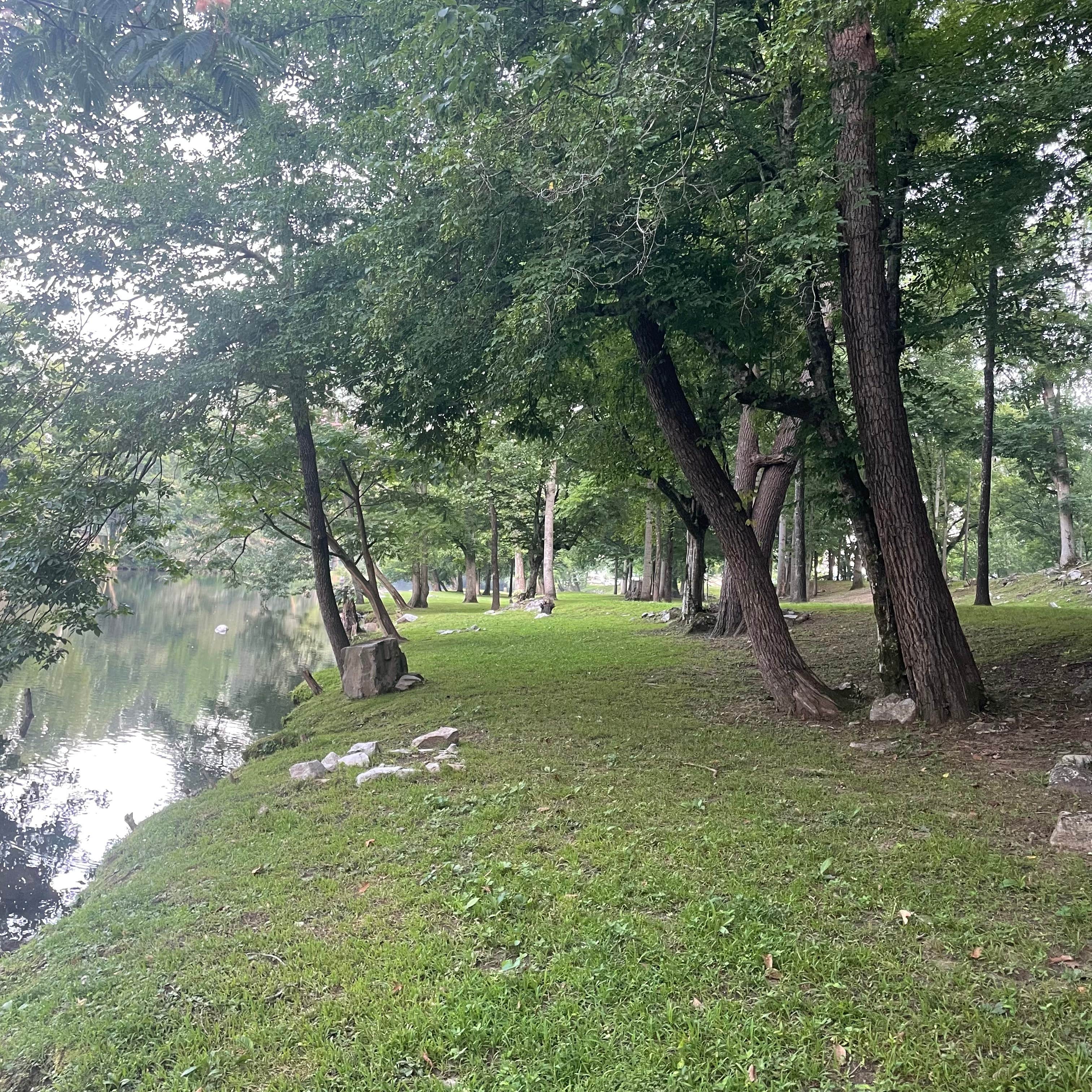 Camper submitted image from Smoky Waters Campground - 3