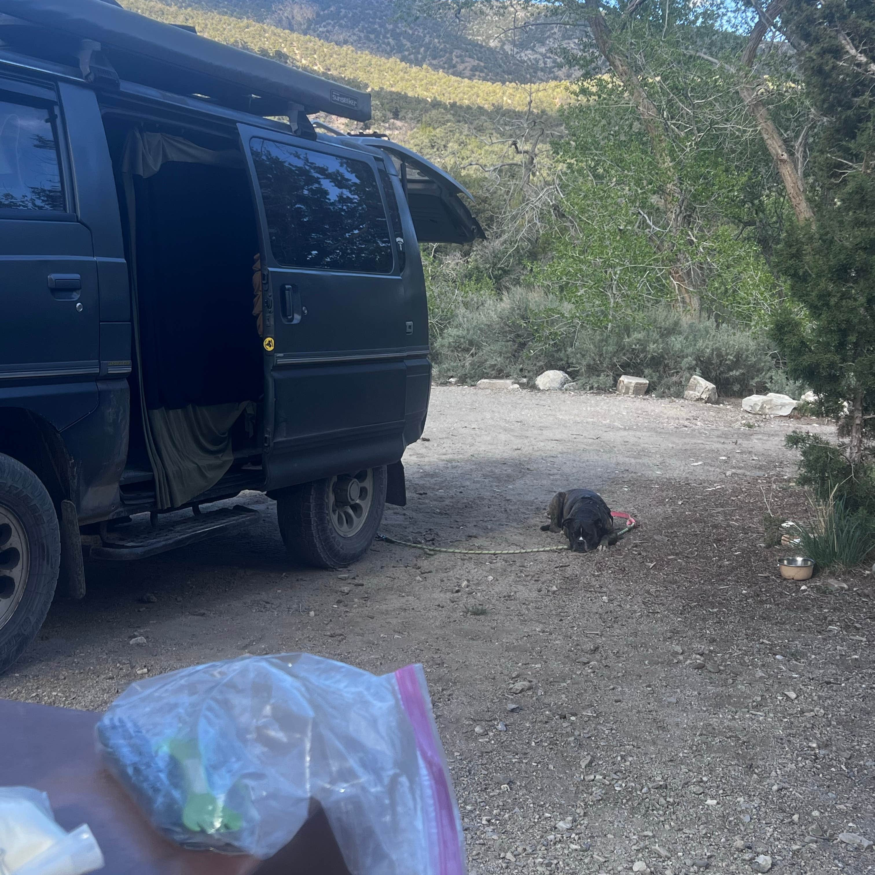 Snake Creek Campground - Primitive