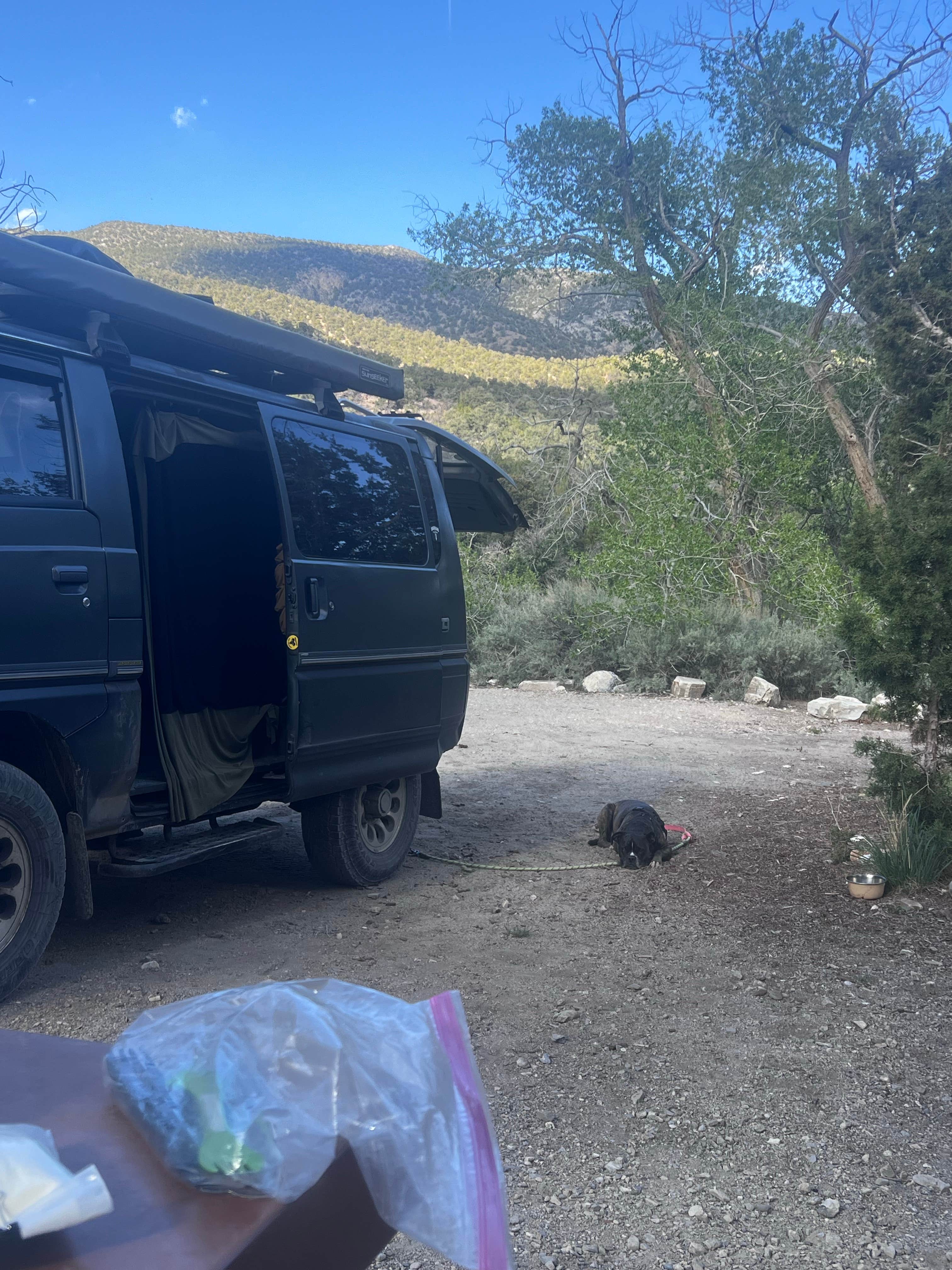 Camper submitted image from Snake Creek Campground - Primitive - 1